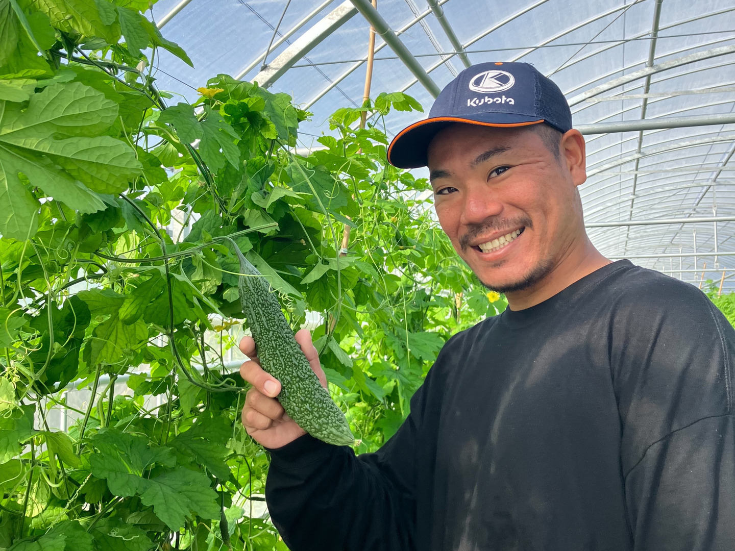 採れたて宮古島産ゴーヤー＊