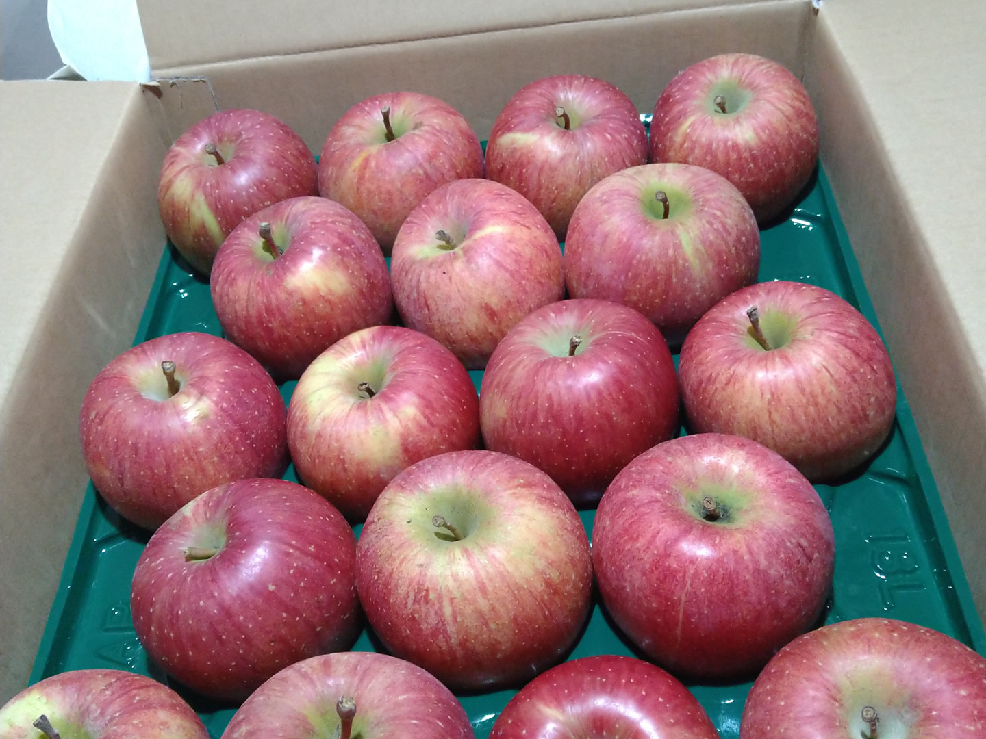 葉取らずふじりんご🍎32個〜36個入り10キロ箱：山形県産のふじ