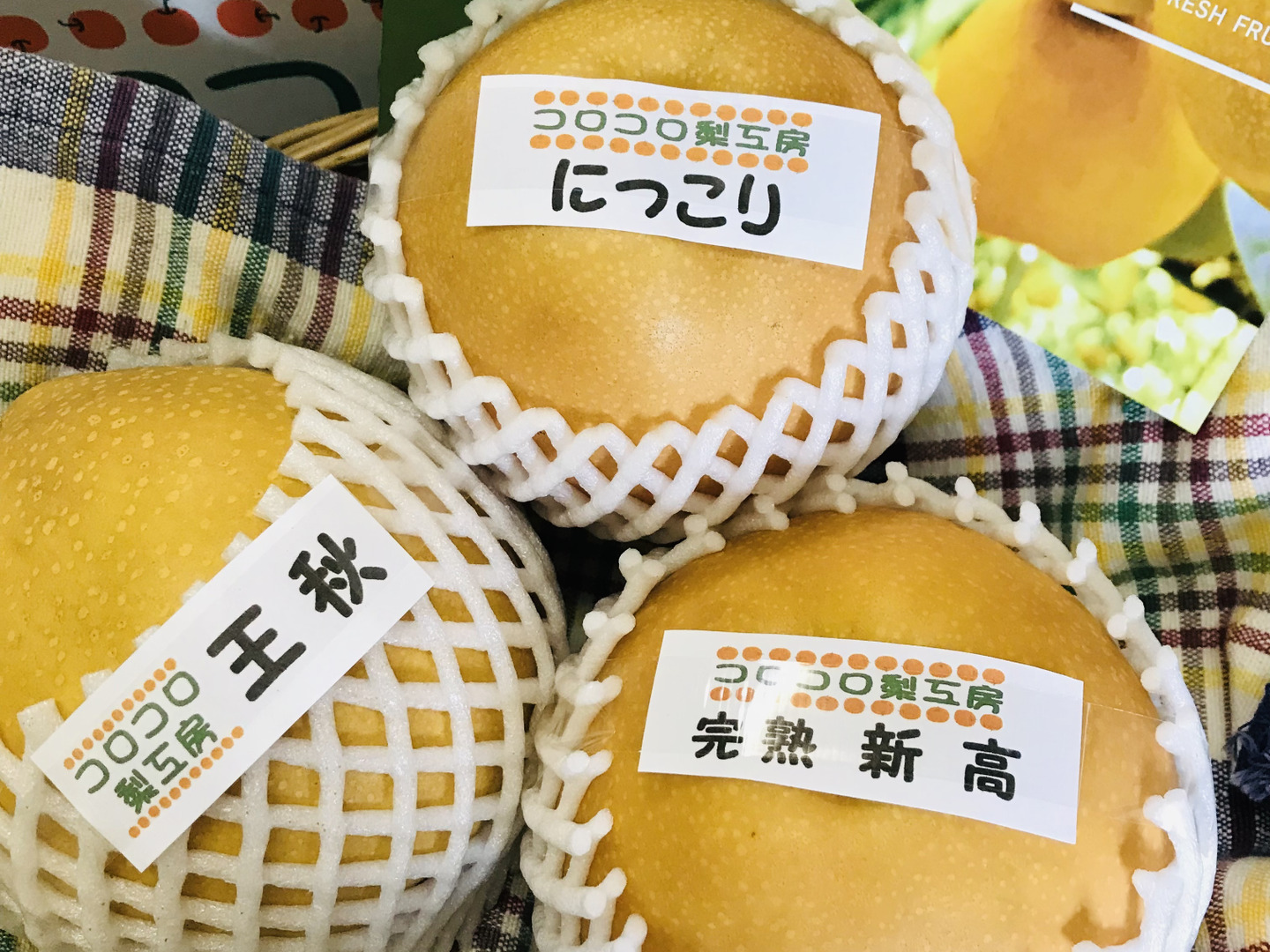 在庫処分 激安 食品 旬の梨食べ比べ‼️3～5品種】何が届くかお楽しみ😋贈答用2.5kg 果物