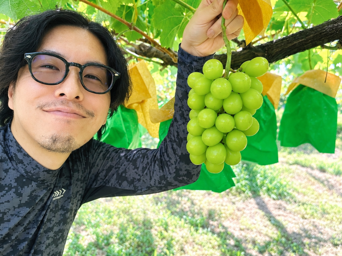 🍇家庭用🍇ちょっぴり訳アリ シャインマスカット🍇2kg日本一の産地山梨
