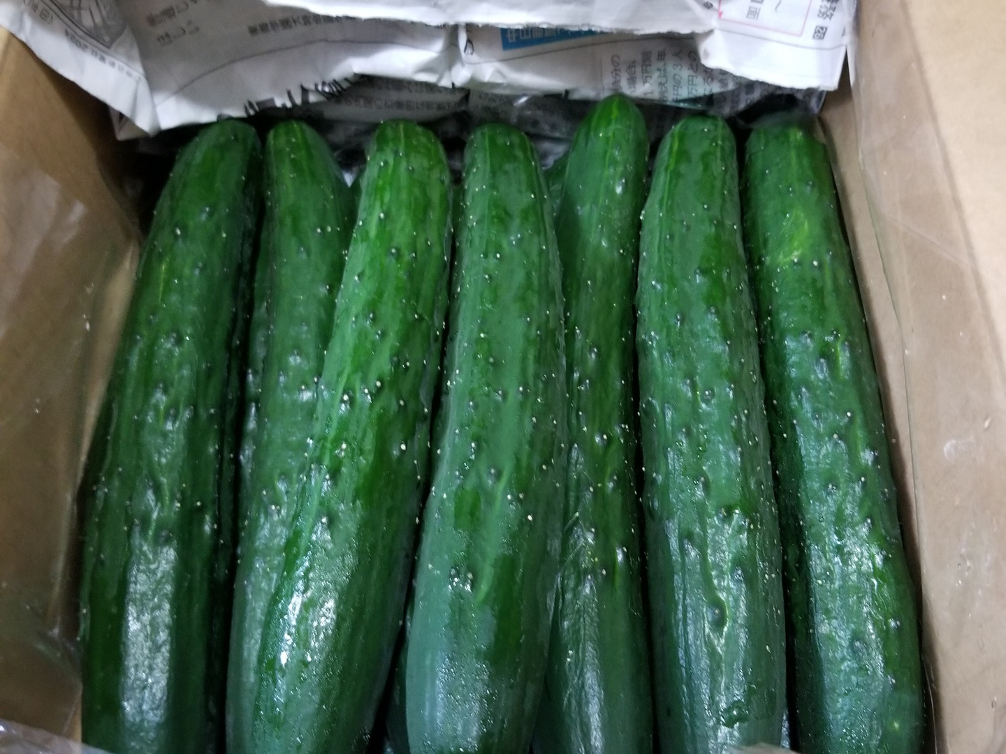 朝採り！信州産きゅうりA品2kg（箱重量込・正味1.8㎏）：長野県