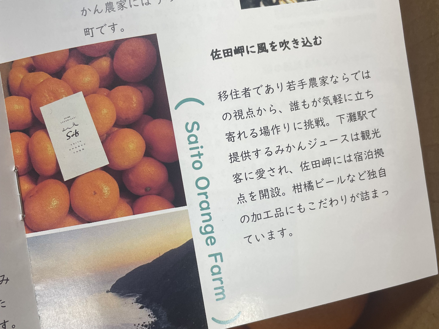 愛媛県産 温州みかん・南柑20号 ご家庭用10kg（箱込）：愛媛県