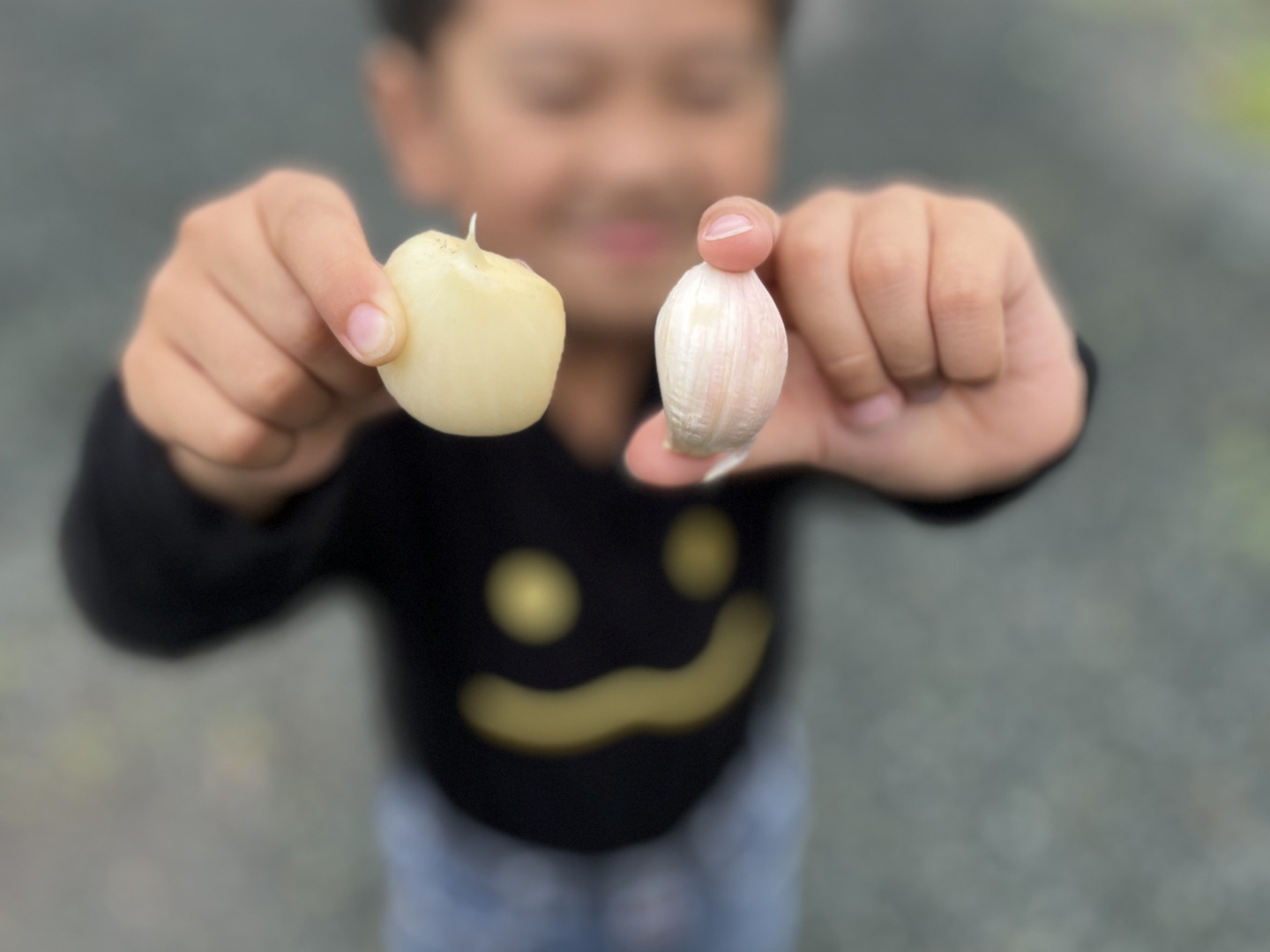 ジャンボニンニク バラ売り 1kg：熊本県産のジャンボにんにく