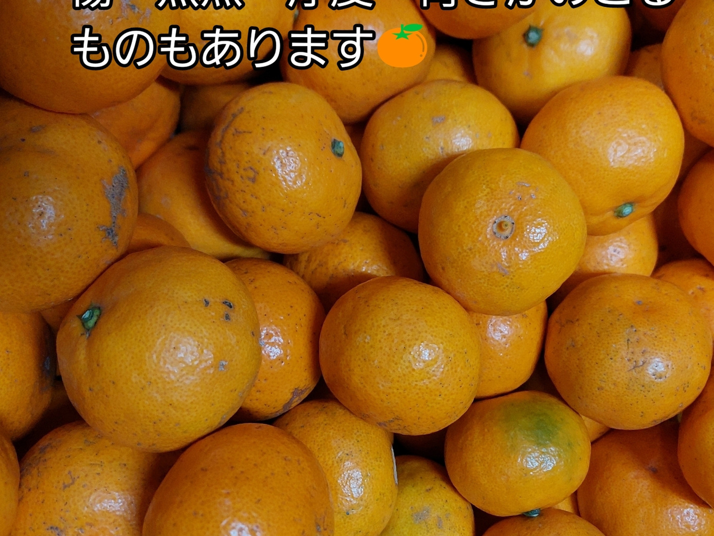 品質が 有田みかん【サイズ混合】2 kg（箱込）：和歌山県産のみかん 果物