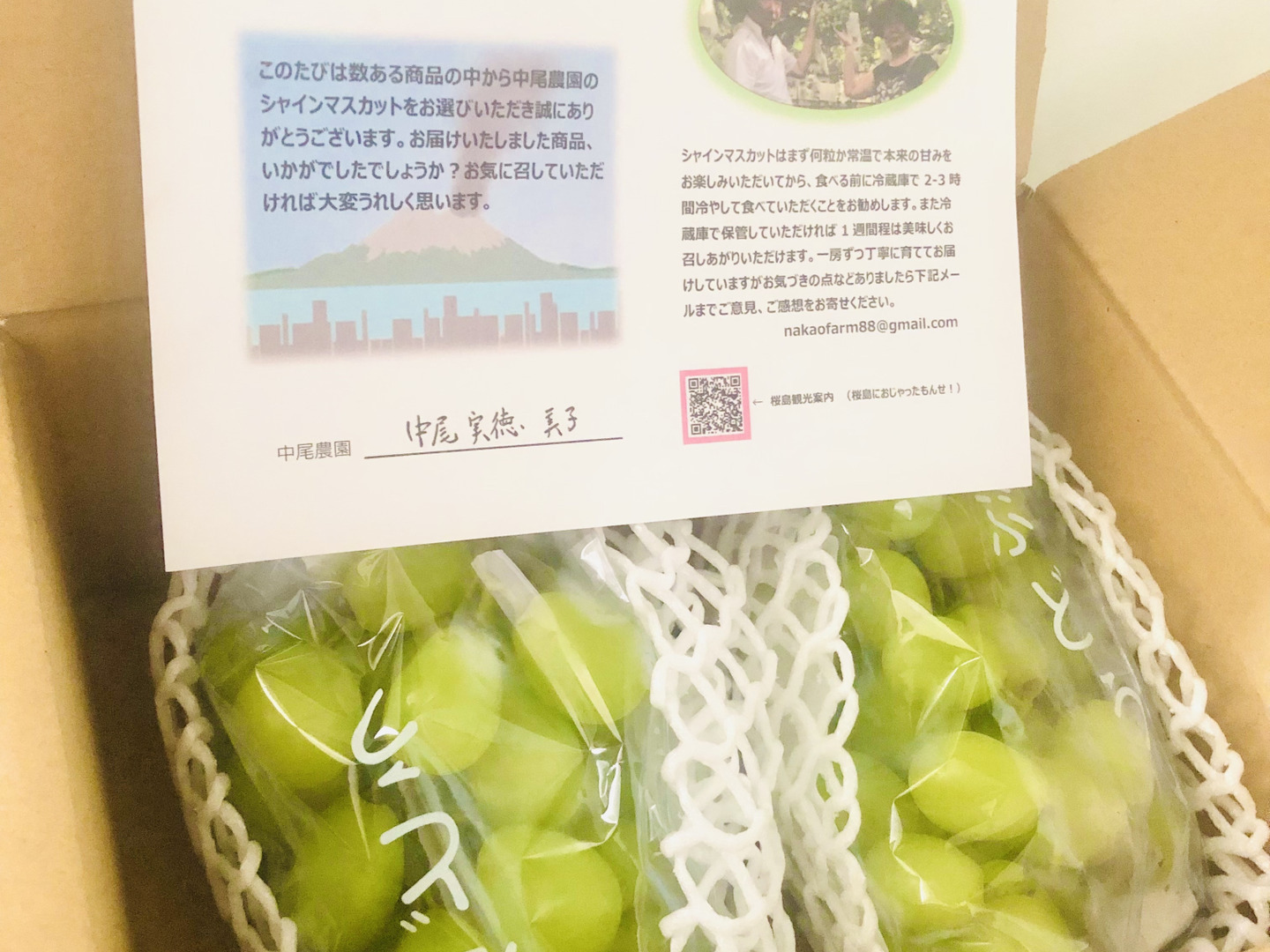 とちあいか 豆しば農園 農家直送品 3kg 販売終了間近 超お買い得