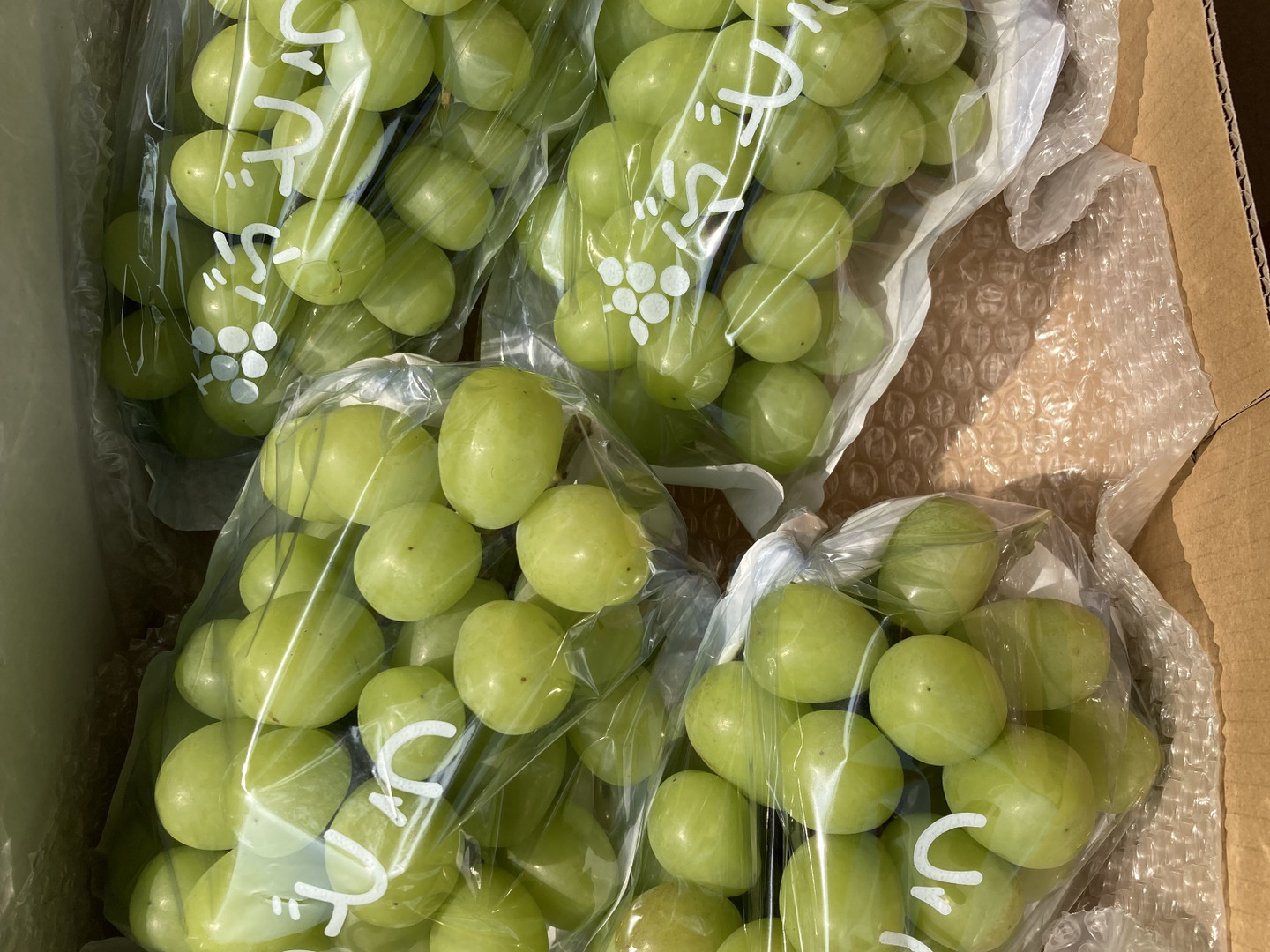 マスカット2500mlセット マスカット2500mlセット シャインマスカット