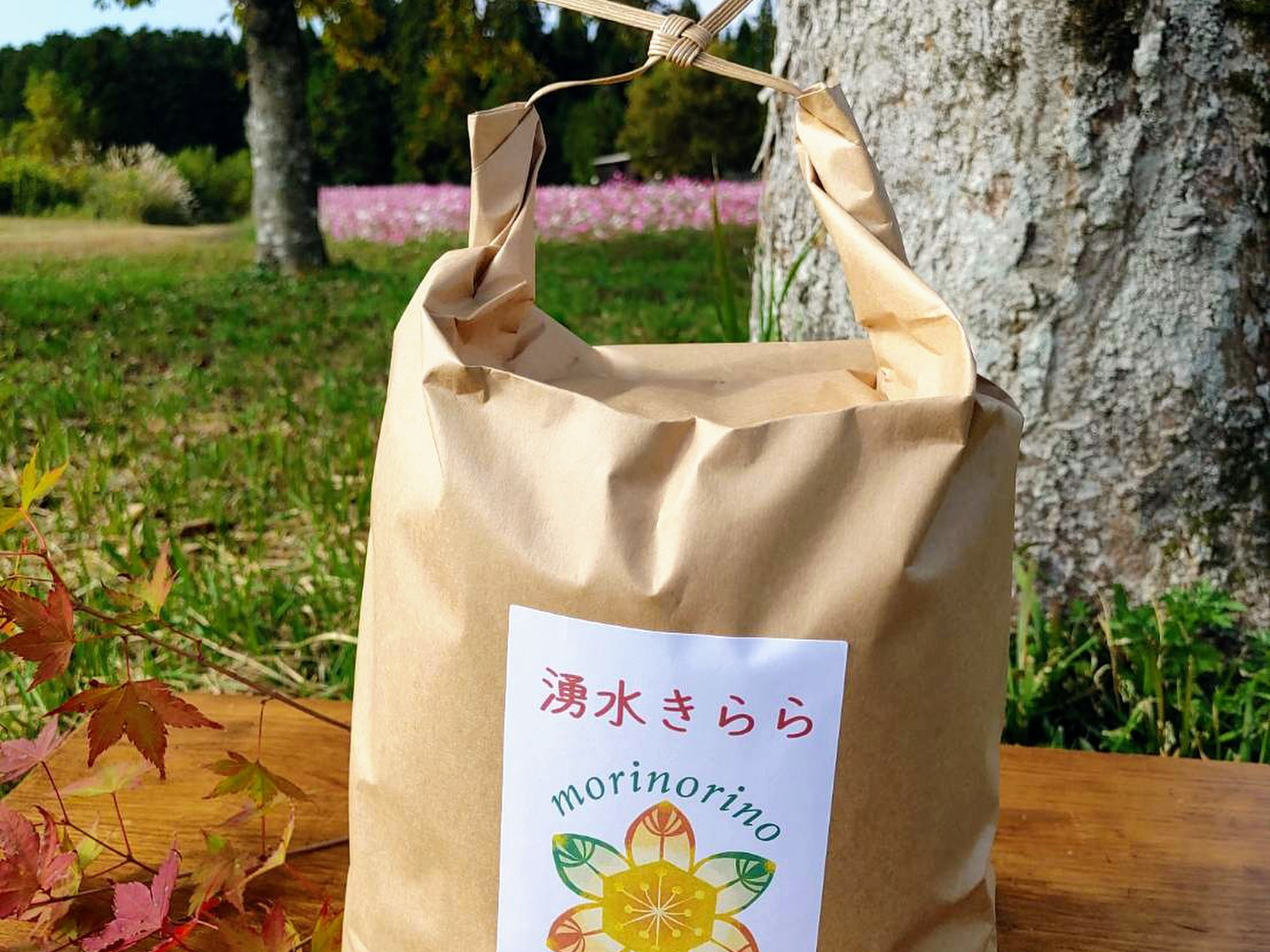 レア品種★シキユタカ 兵庫県産新米 湧き水育ち農家のお米 20kg(10kg×2 レア品種☆シキユタカ 兵庫県産新米 湧き水育ち農家のお米 20kg