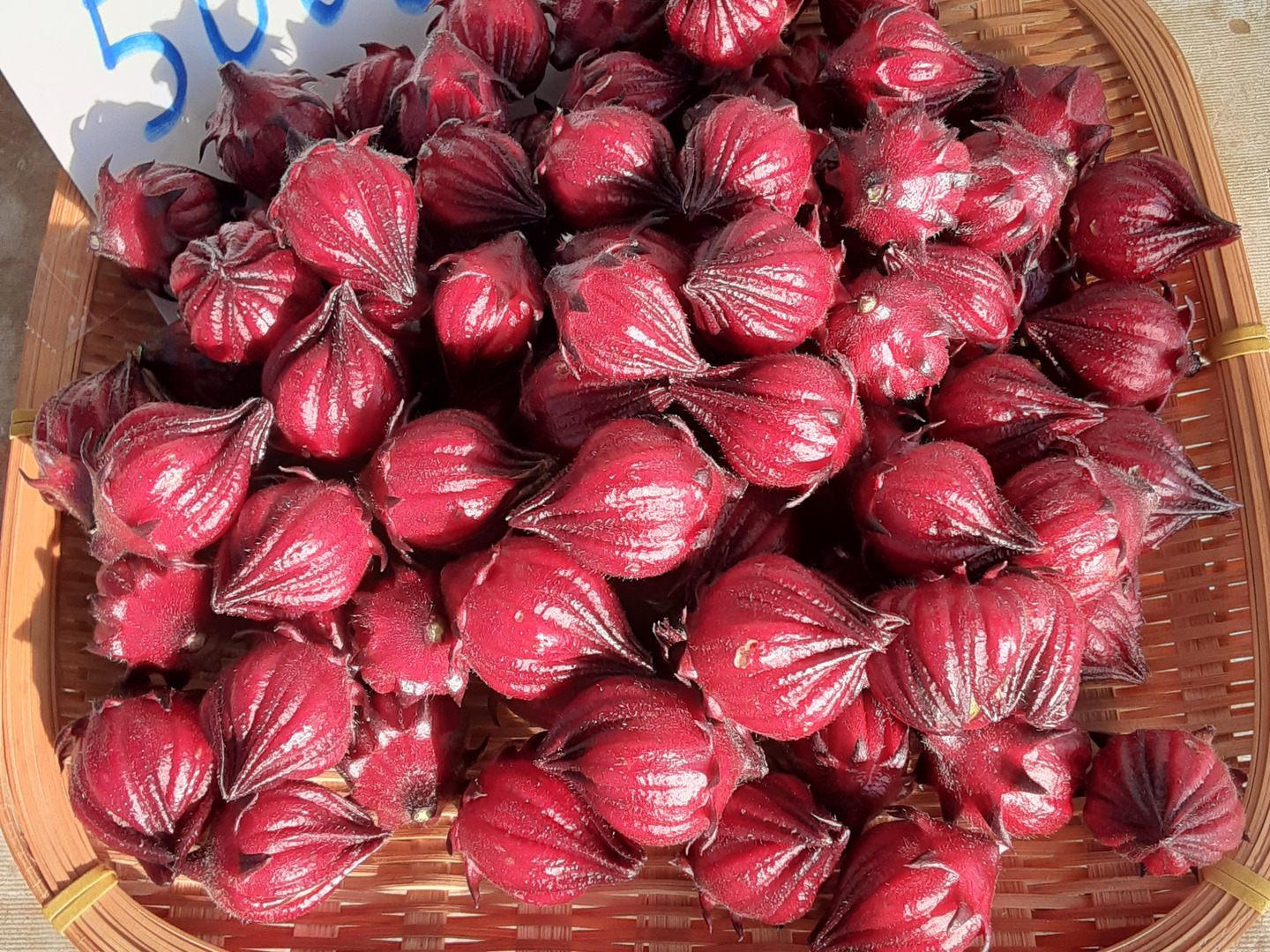 6aaf26731ff3ce142b10e511cc3631