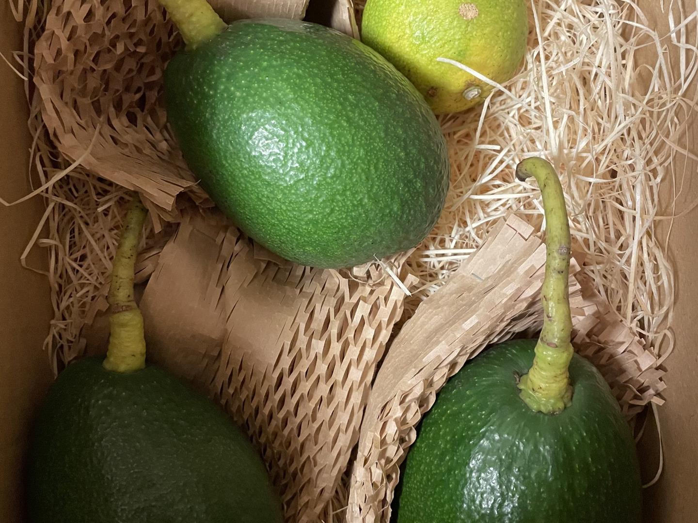 アボカド　ベーコン 81gC+T3EhiL._UF350,350_QL80_.jpg