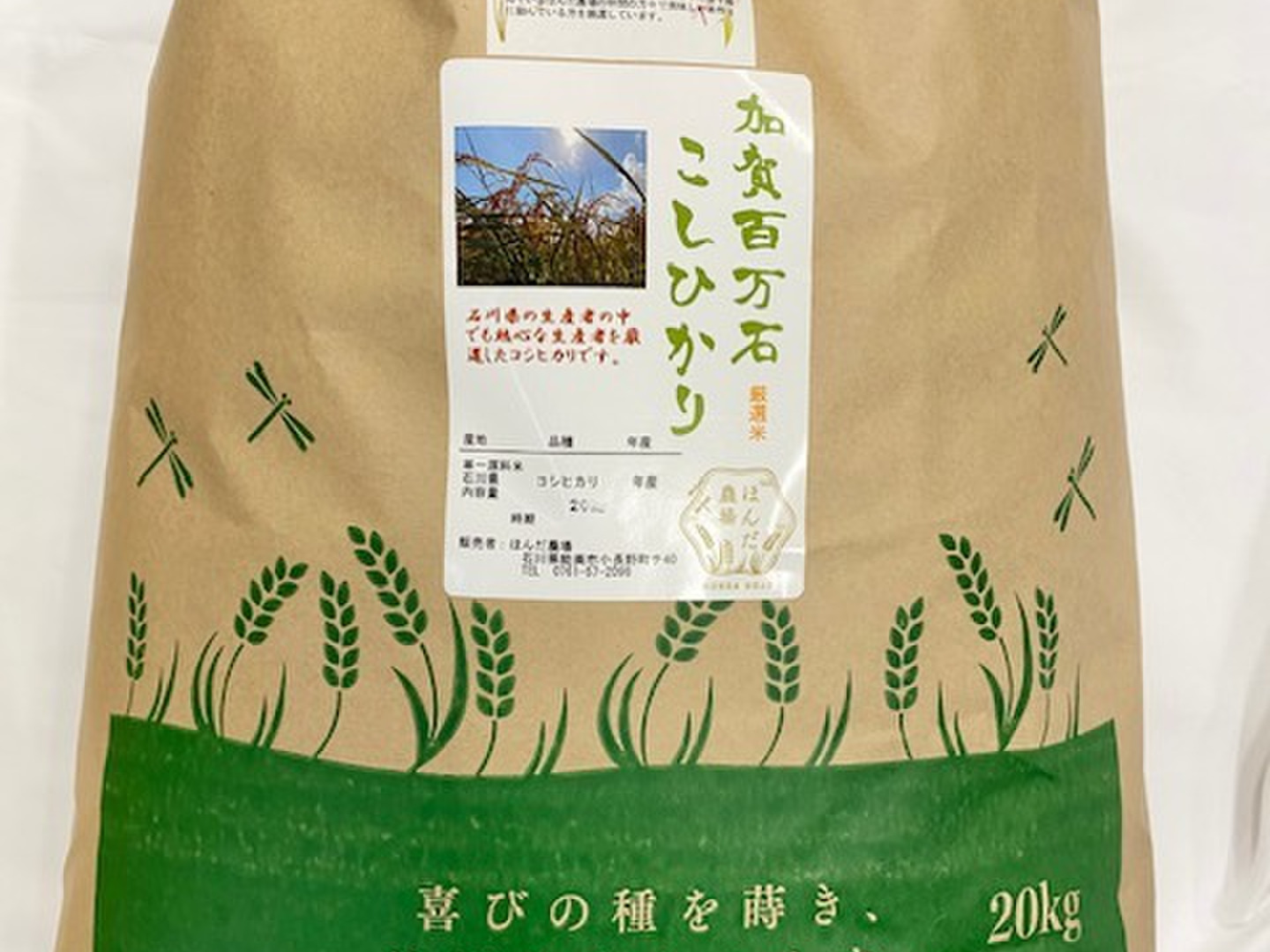 令和6年産 コシヒカリ 20kg　石川県のと米 令和6年産 石川県産 厳選コシヒカリ 白米 20kg：石川県産のお米