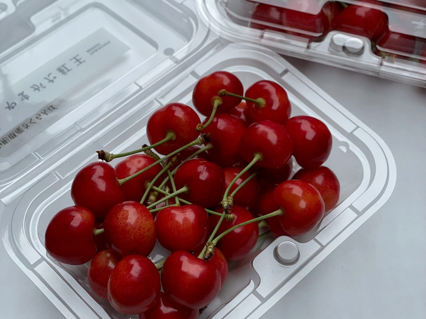 公式サイト 予約2025年6月下旬〜】やまがた紅王🍒さくらんぼ新品種！フード その他