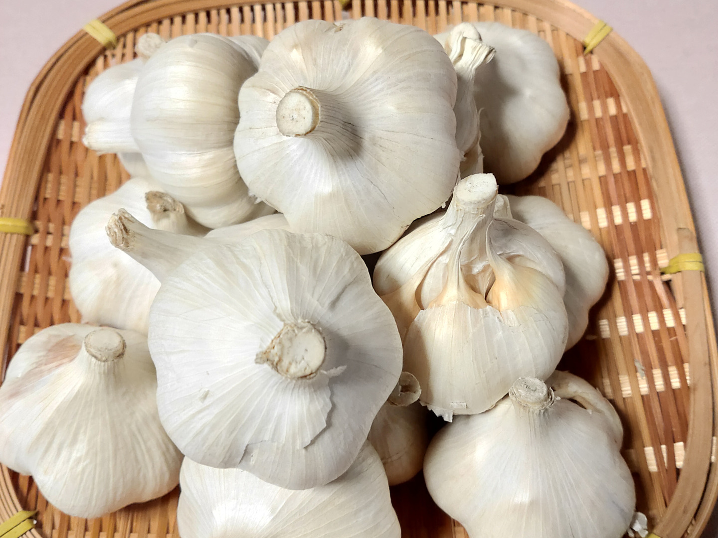 期間限定！ホワイト】フレッシュホワイト生にんにく 1kg ※7月20