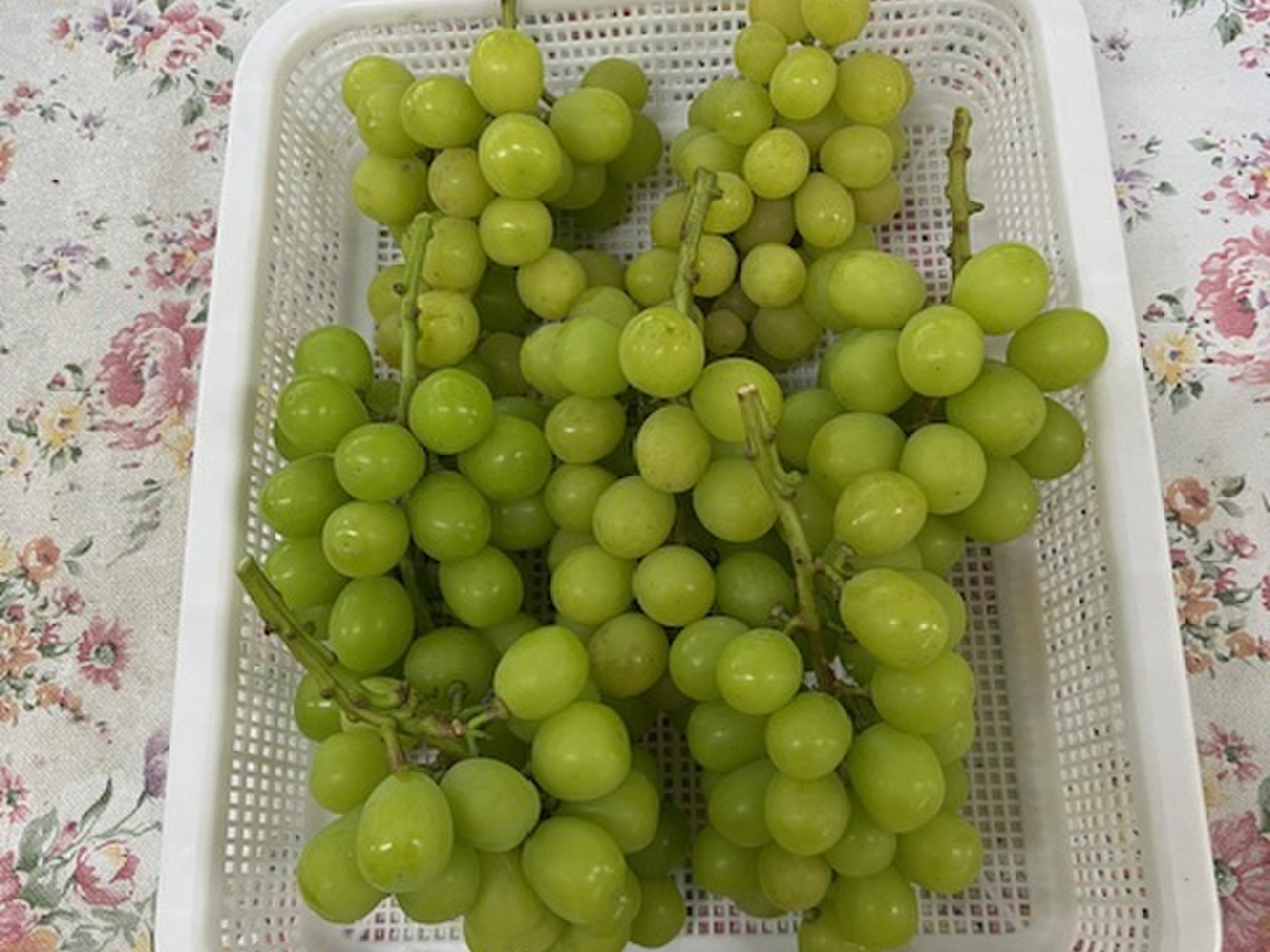 山梨県産ぶどう シャインマスカット 9房入り 箱込み約5.5kg 山梨