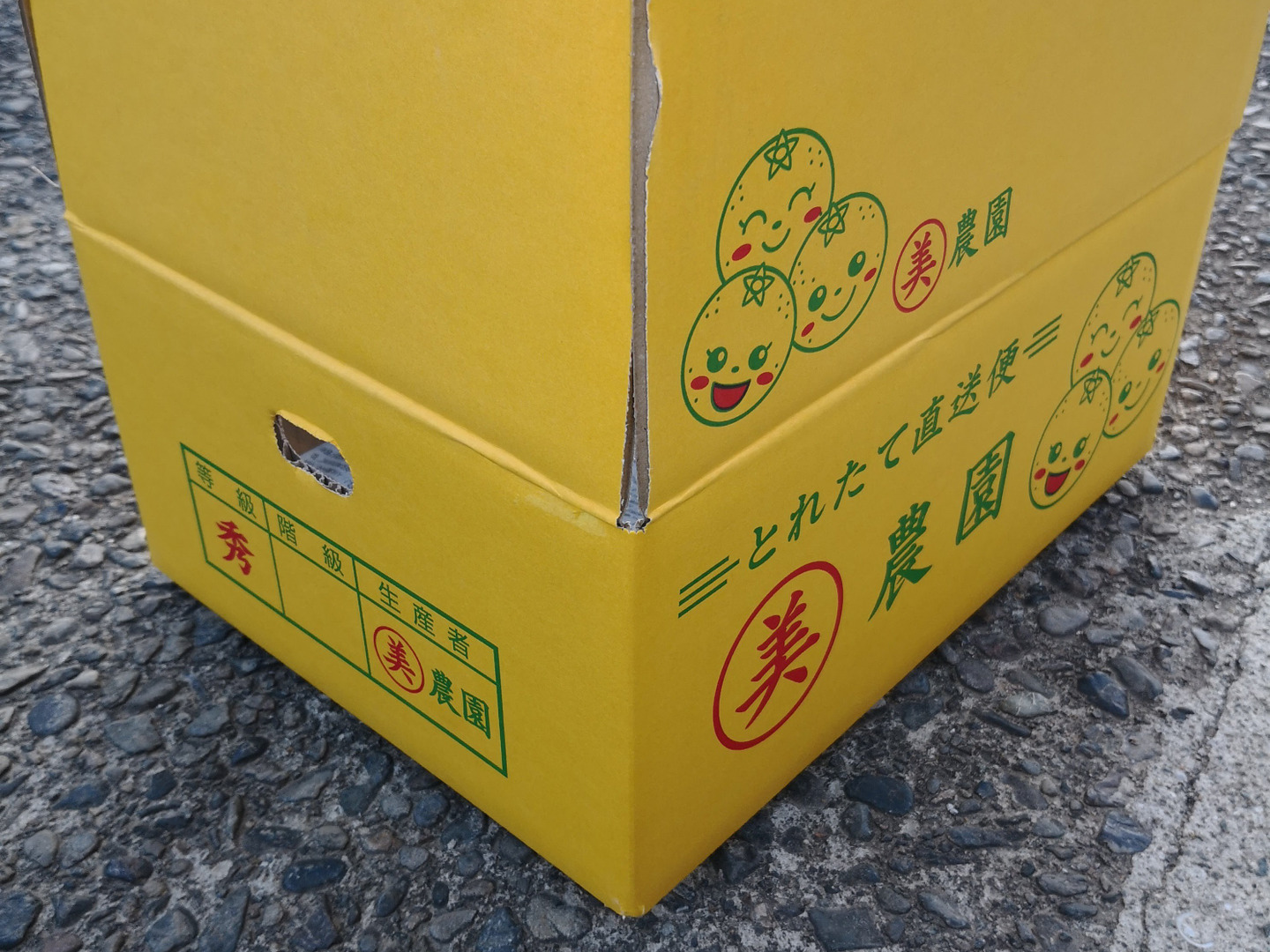 まる美農園の青みかん5kg（清見）栽培期間中農薬不使用：和歌山