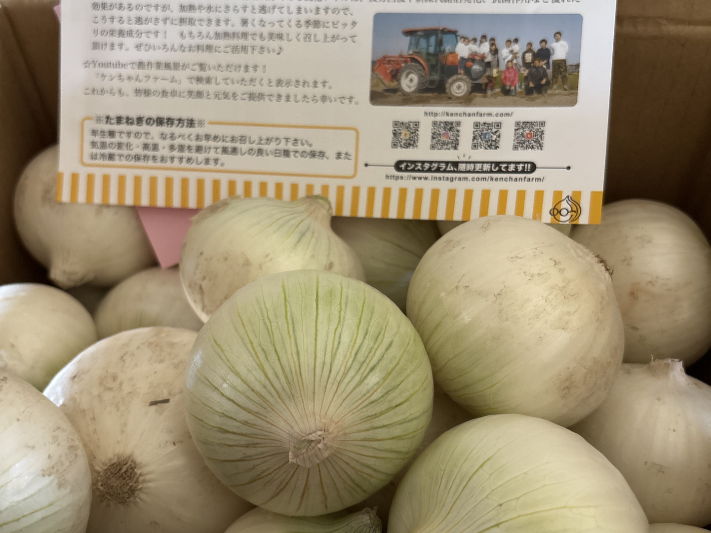 最終です≪希少品種!≫真っ白な白たまねぎ 5kg 特別栽培