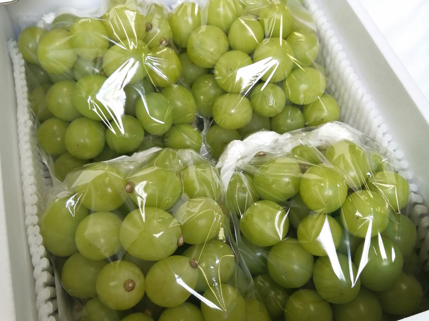 発泡箱発送　赤果肉系見繕い、脱粒シャインマスカット2kg プレミアムパッケージ】最高級シャインマスカット2房入1.3kg