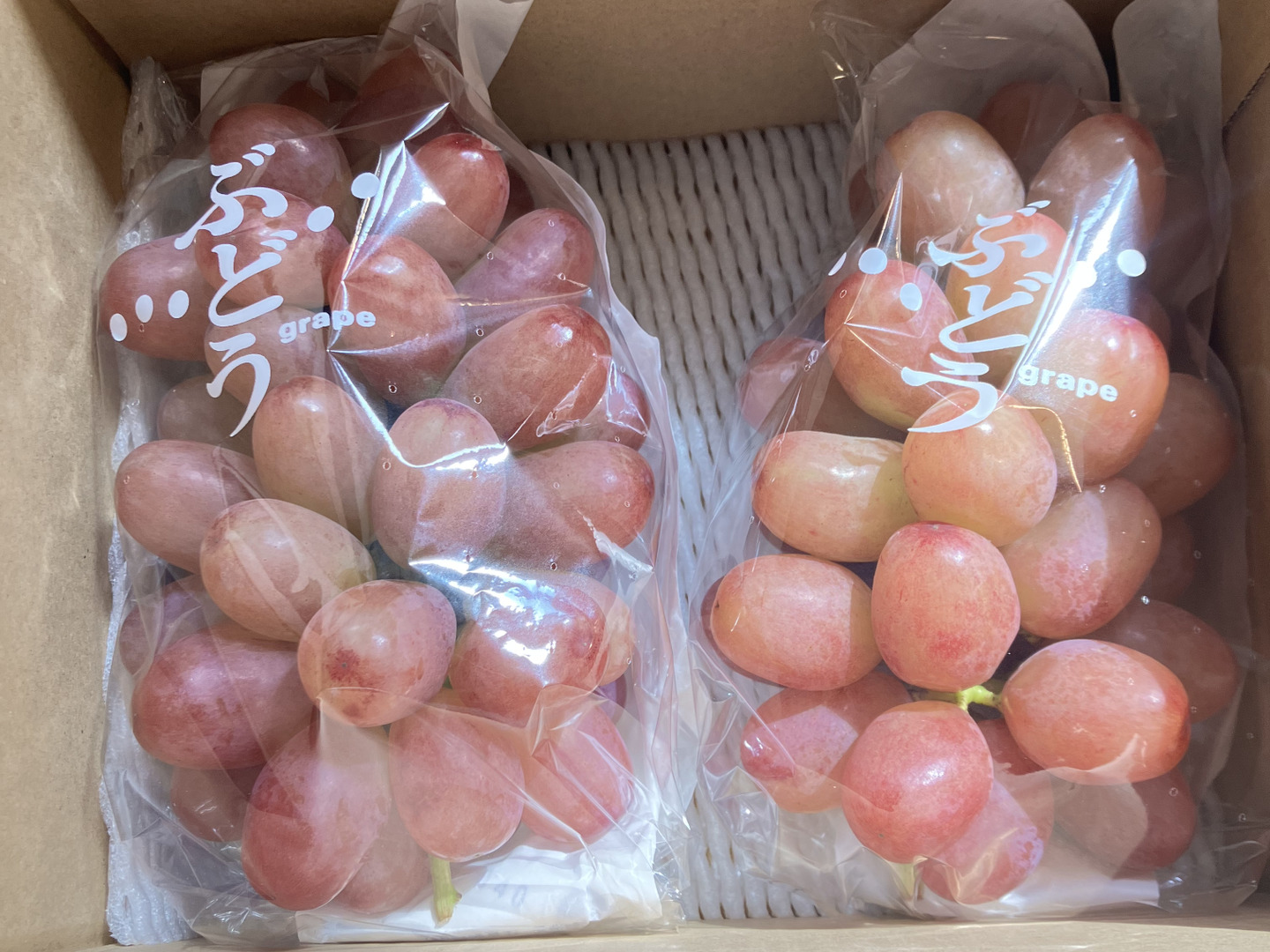 訳あり3】クイーンルージュ®︎2房セット(合計1kg超)長野県限定