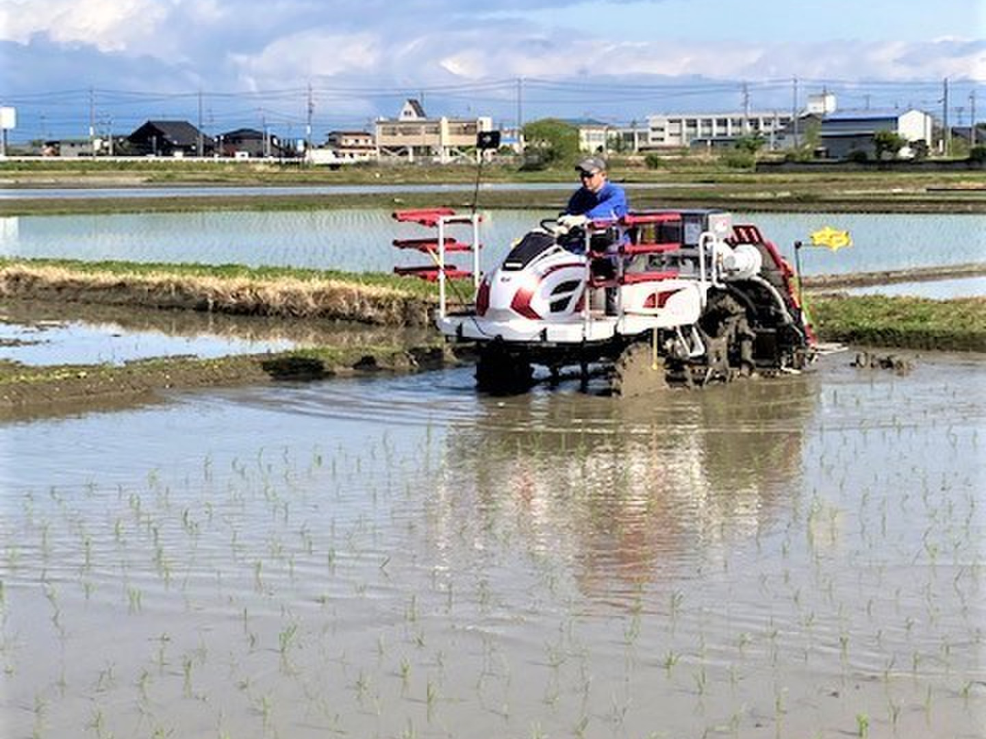 三重県松阪市【令和6年産　夢ファームターチャンのコシヒカリ精米10キロ】 三重県松阪市【令和6年産 夢ファームターチャンのコシヒカリ精米