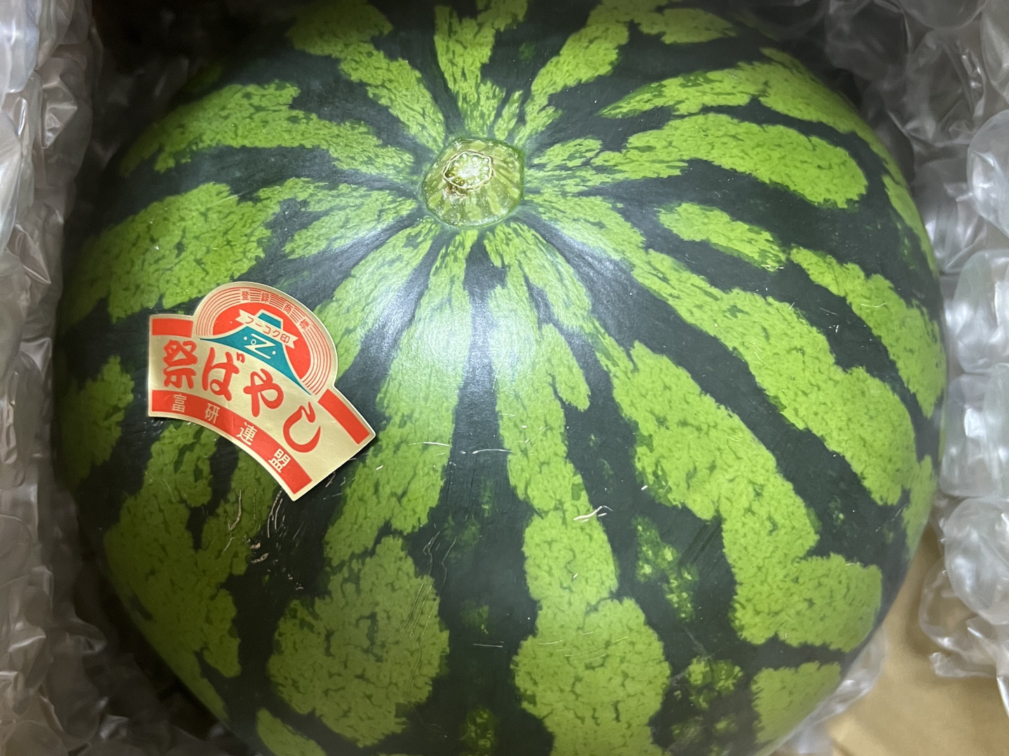 ms1千葉県産まる朝大玉スイカ良品3Lサイズ1箱2玉入り ms1千葉県産まる朝大玉スイカ良品Lサイズ1箱2玉入り - メルカリ