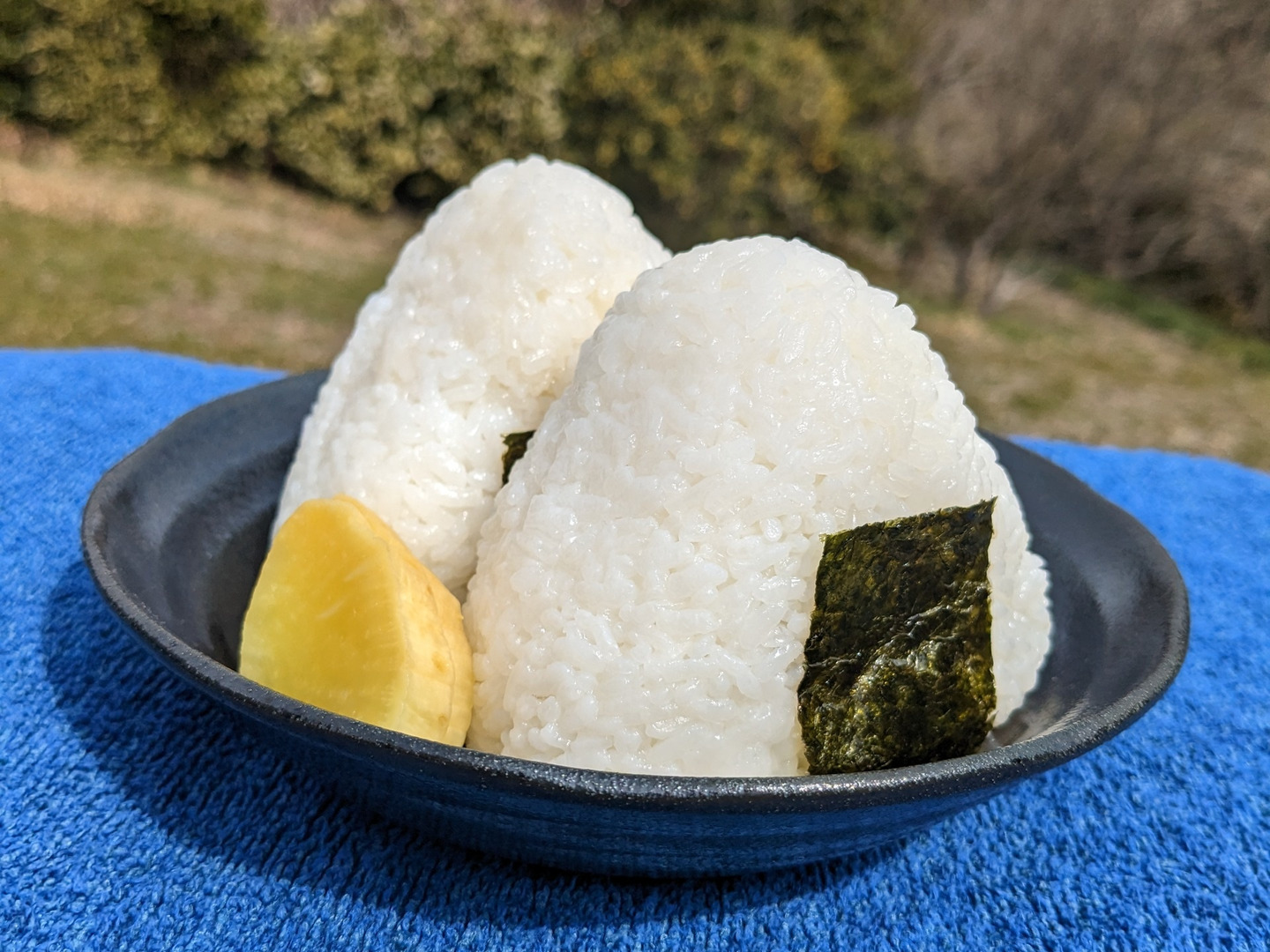 まるまる子 無農薬コシヒカリ3分づき20kg、乾海苔 並 30枚 まるまる子 無農薬コシヒカリ3分づき20kg、乾海苔 並 30枚