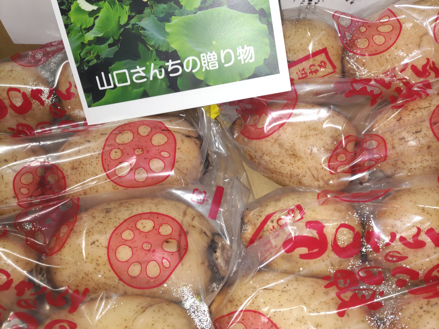 今が旬のれんこん】産地白石町のあま〜いシャキシャキ蓮根2kg