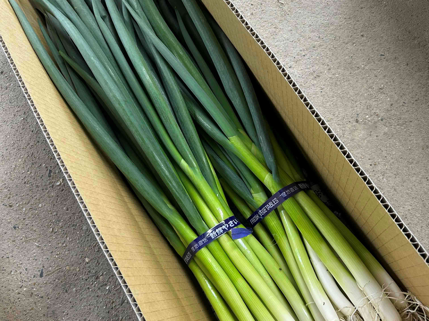 ☆訳あり☆ 料理のプロが認める 京都「山城のねぎ」1kg×3束（京野菜