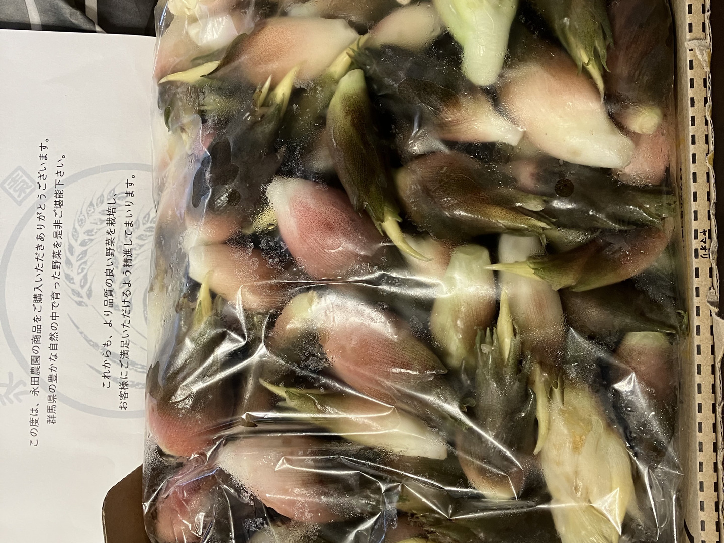 群馬県産　ミョウガ 森の茗荷】群馬県東吾妻町産 みょうが 600g 国産：群馬県産の