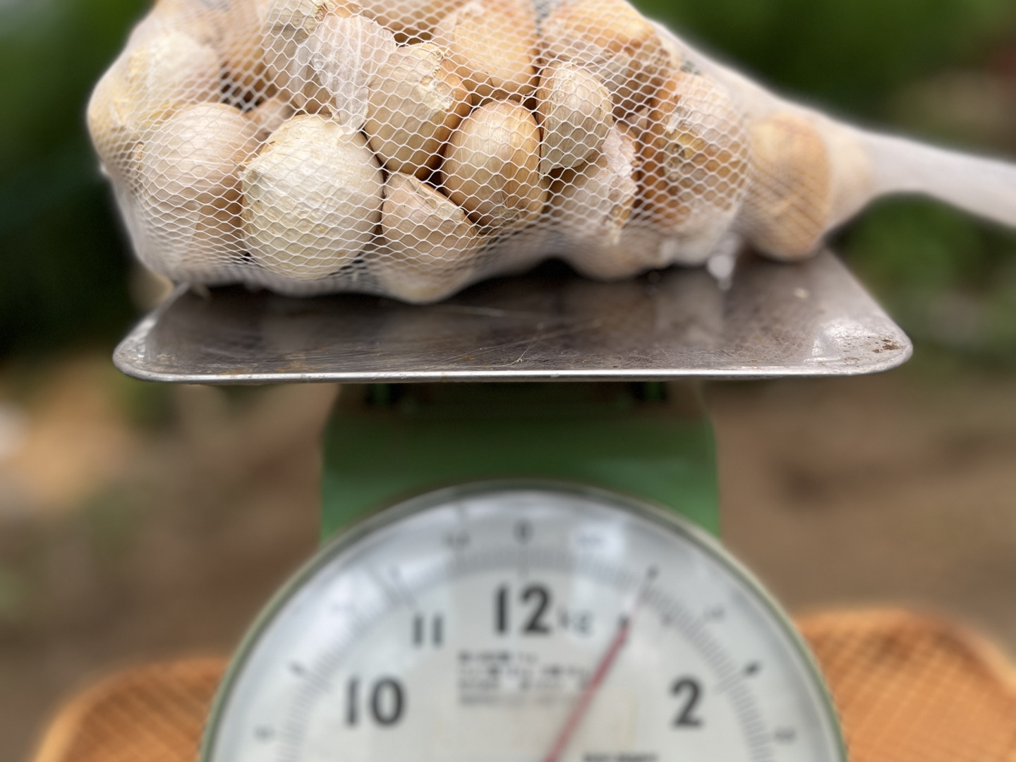 awesome✨さま 専用　シャンボにんにく バラ10キロ awesome✨さま 専用 シャンボにんにく バラ10キロ awesome✨さま