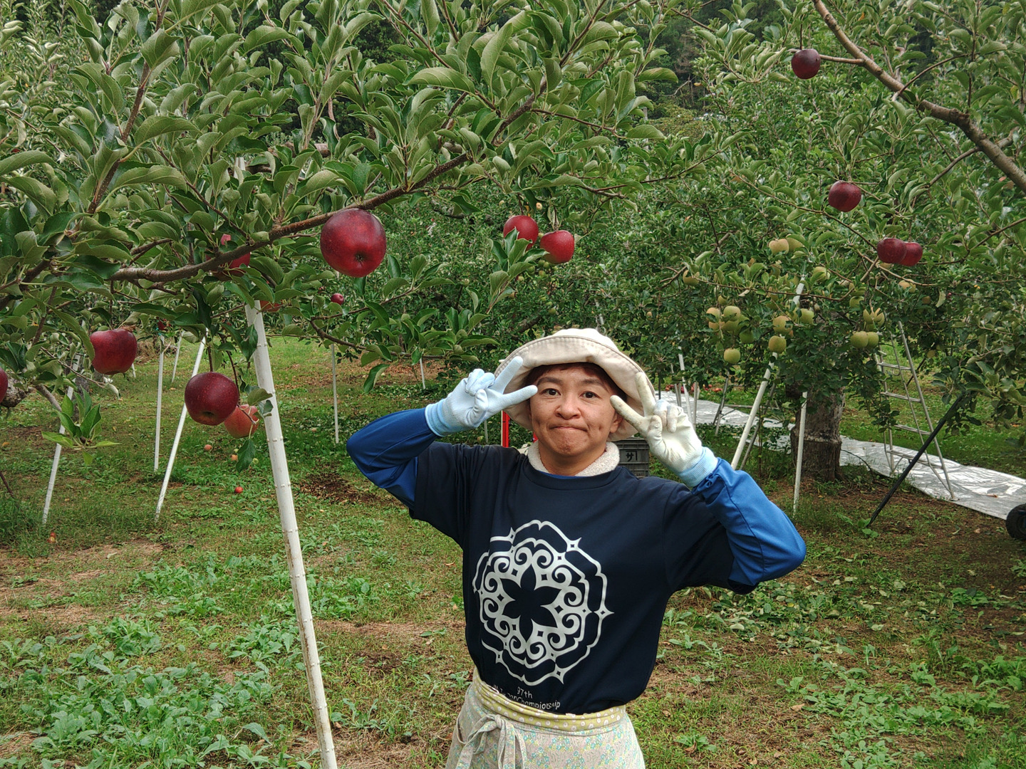 りんご 訳あり🍎秋映🍎 長野県オリジナル品種 三兄弟の長男 5kg 中玉