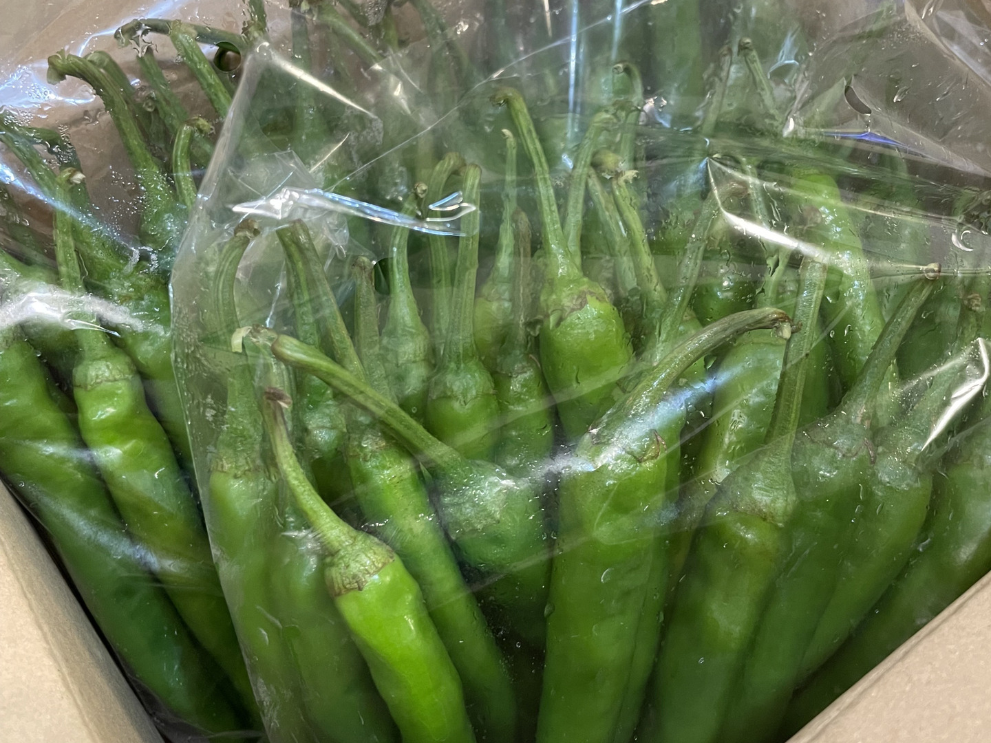 クール便】辛さ薫る 激辛青唐辛子 1kg：熊本県産のその他唐辛子