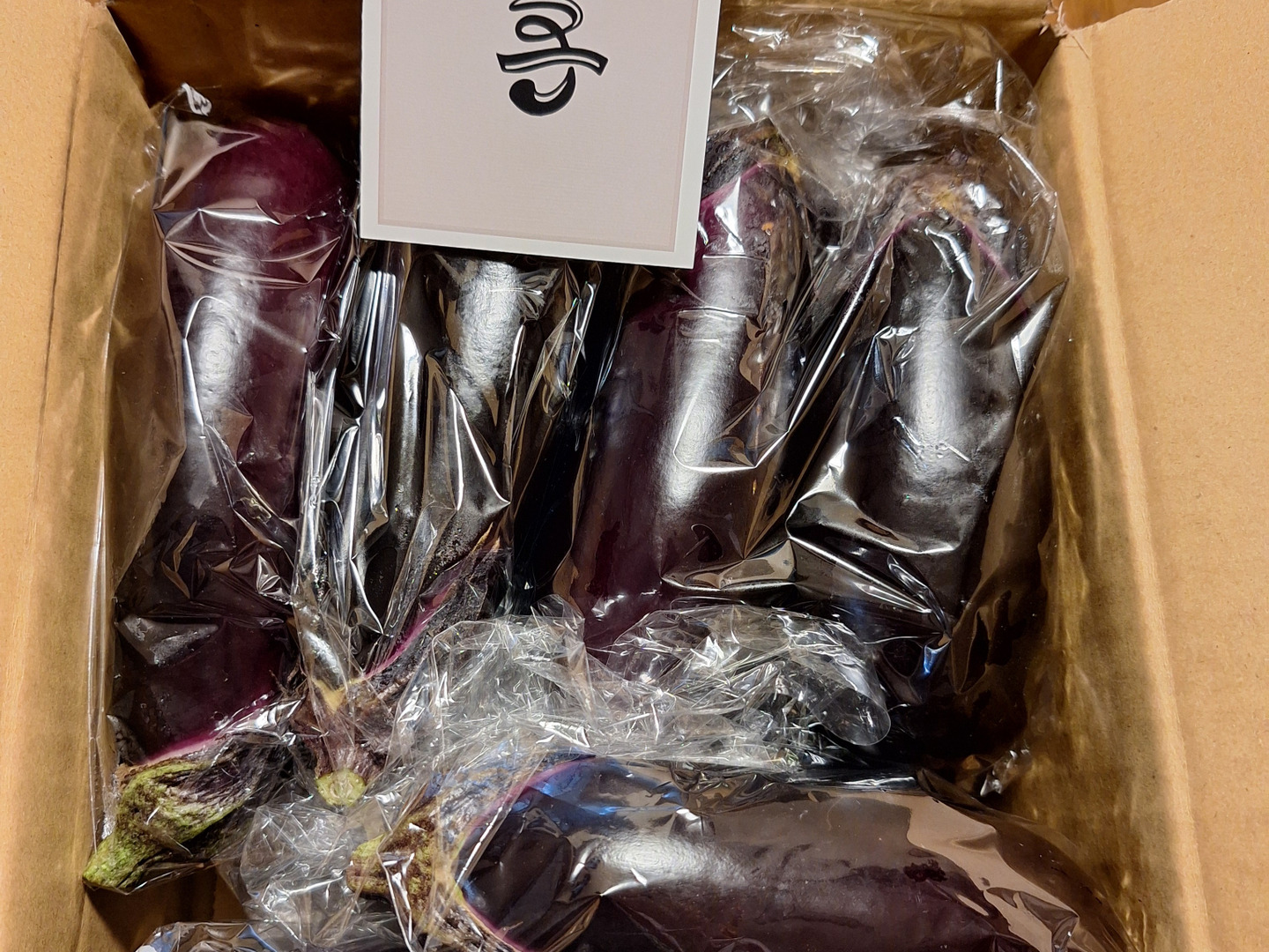 野菜ソムリエサミット銀賞 とげなしなす10本：愛知県産のその他