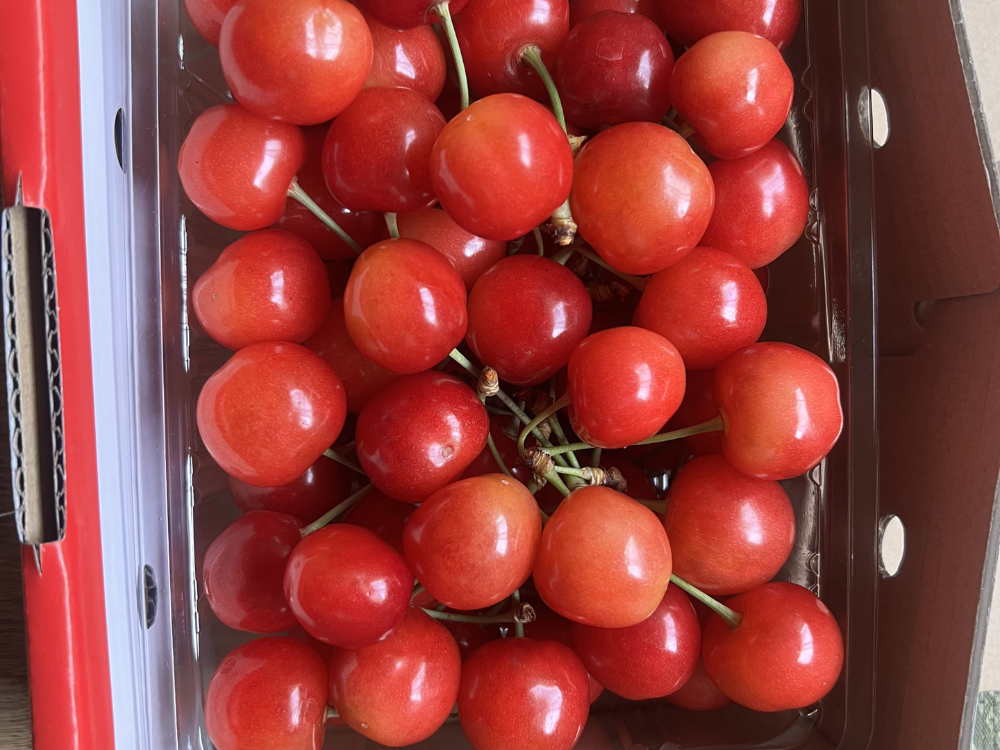 訳ありじゃない！という声が多数)さくらんぼ 500g 佐藤錦 訳