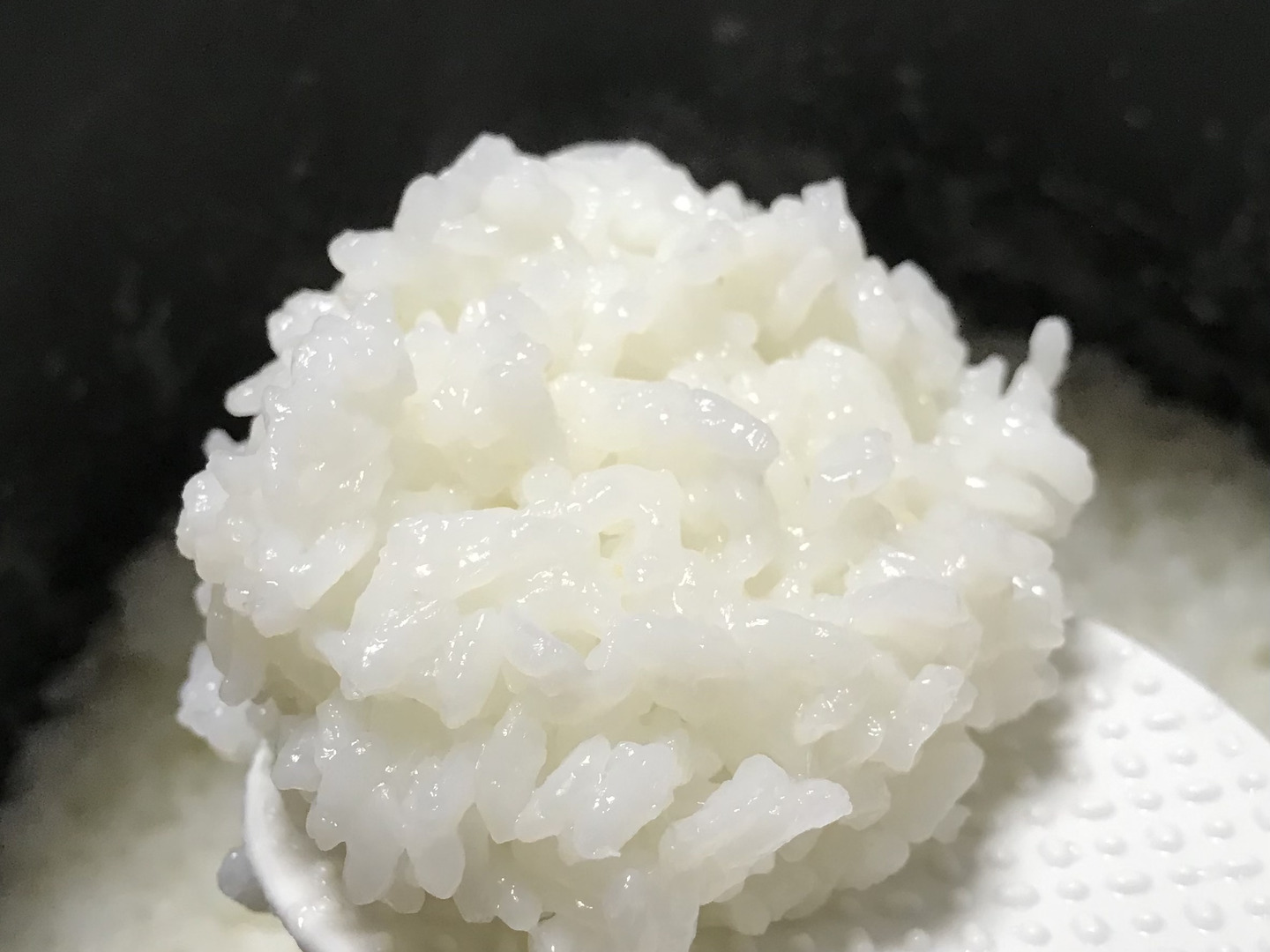 新潟県矢代産コシヒカリ【地域限定米】令和6年産 新米 白米5 新潟県矢代産コシヒカリ【地域限定米】令和6年産 新米 白米5