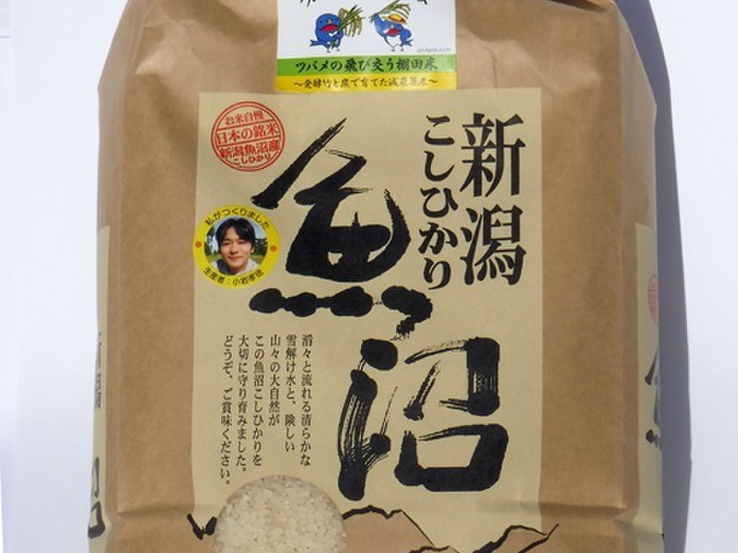 R6年新米 魚沼産コシヒカリ ツバメの飛び交う棚田米 精米 10Kg：新潟県