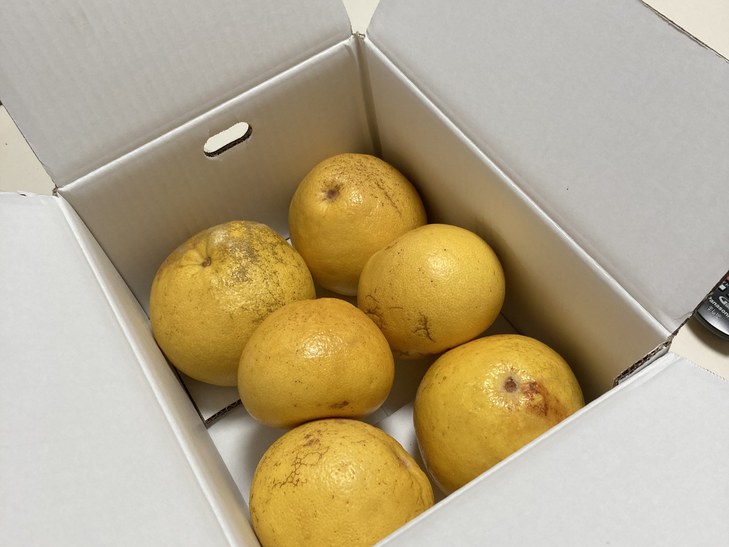 訳あり3kg】土佐文旦！傷があっても味は一級品！：高知県産の