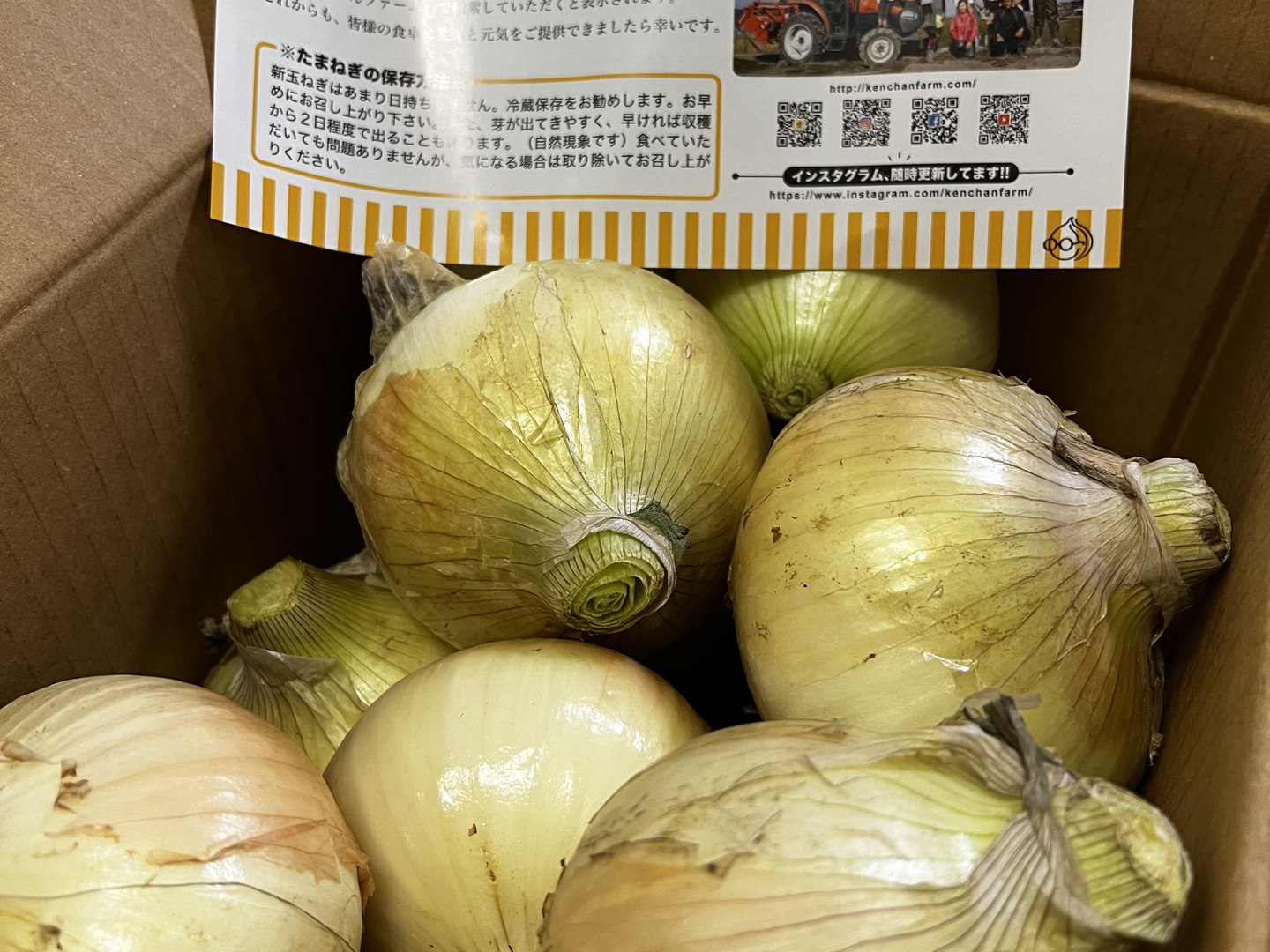 買い誠実 予約商品】この時期にしか食べられない♪淡路島新玉ねぎ「とろ甘 野菜