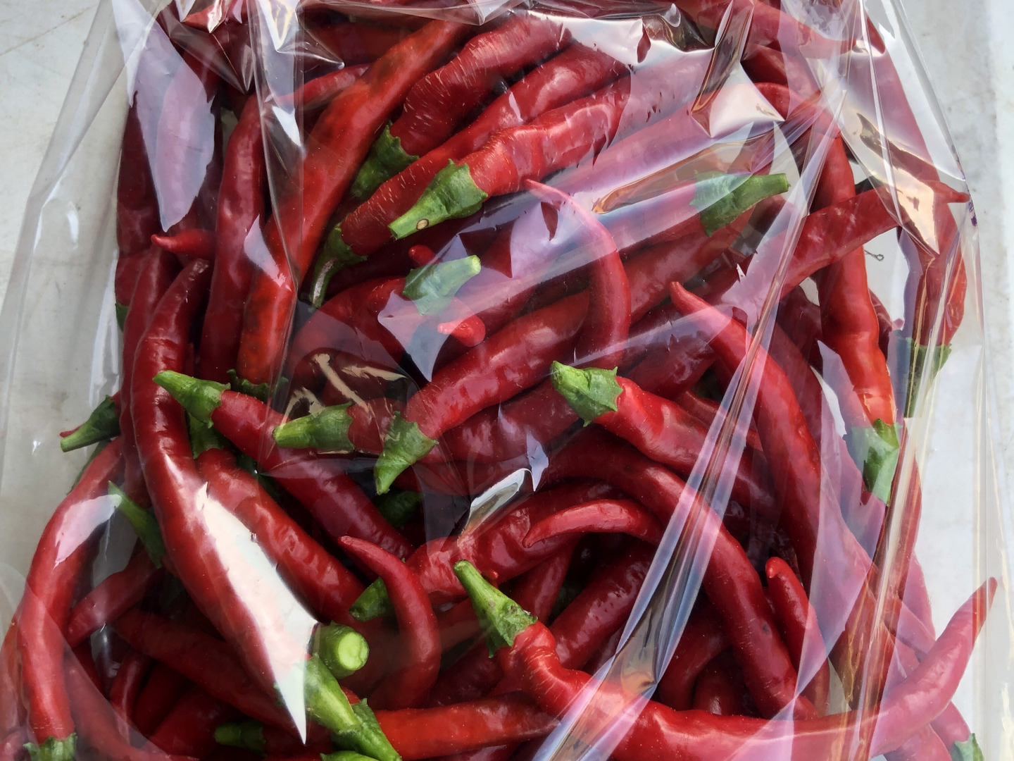 ホットパラソル 赤唐辛子 フレッシュ 500g 農薬不使用：長崎県産の