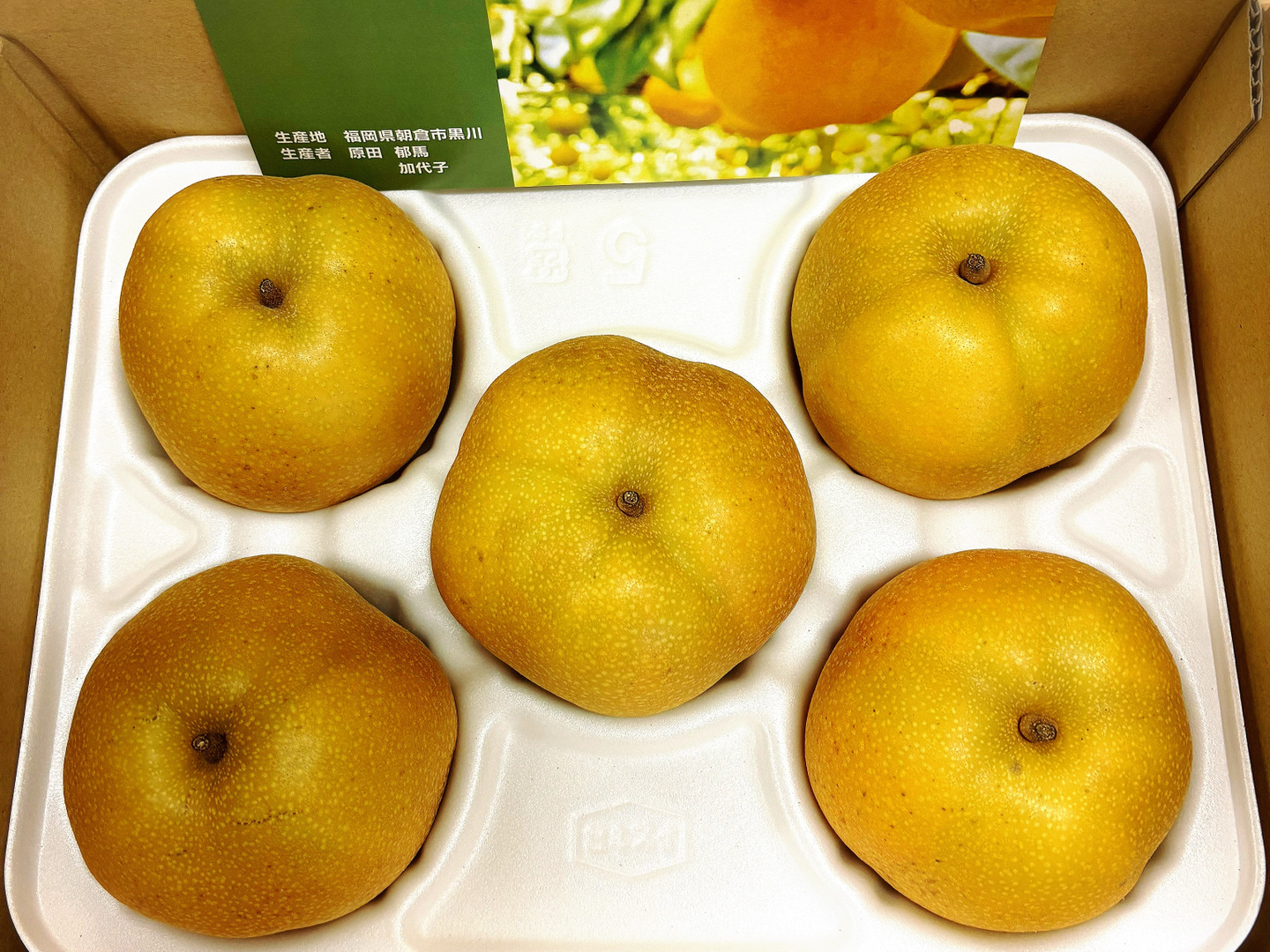 超希少品種✨️とにかく甘い‼️あきあかり梨】良品約2.2kg(4-9個