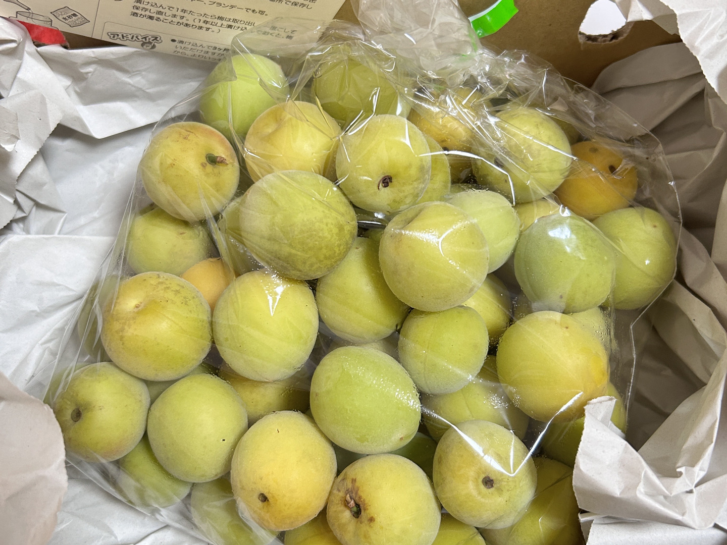 完熟・南高梅 サイズ混合約1kg】特別栽培・奈良県産：奈良県産の