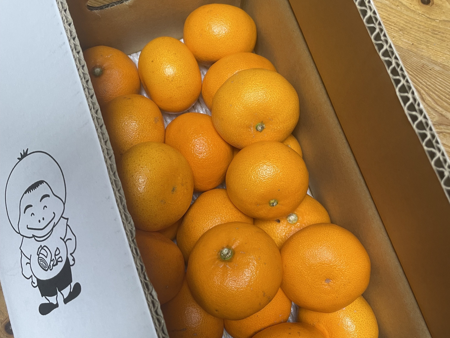 ちこ　紅ぷりせとか2kg+訳あり8kgぐるりん お得❗️個性爆発】🍊大きさミックスご家庭用C品 せとか訳あり約