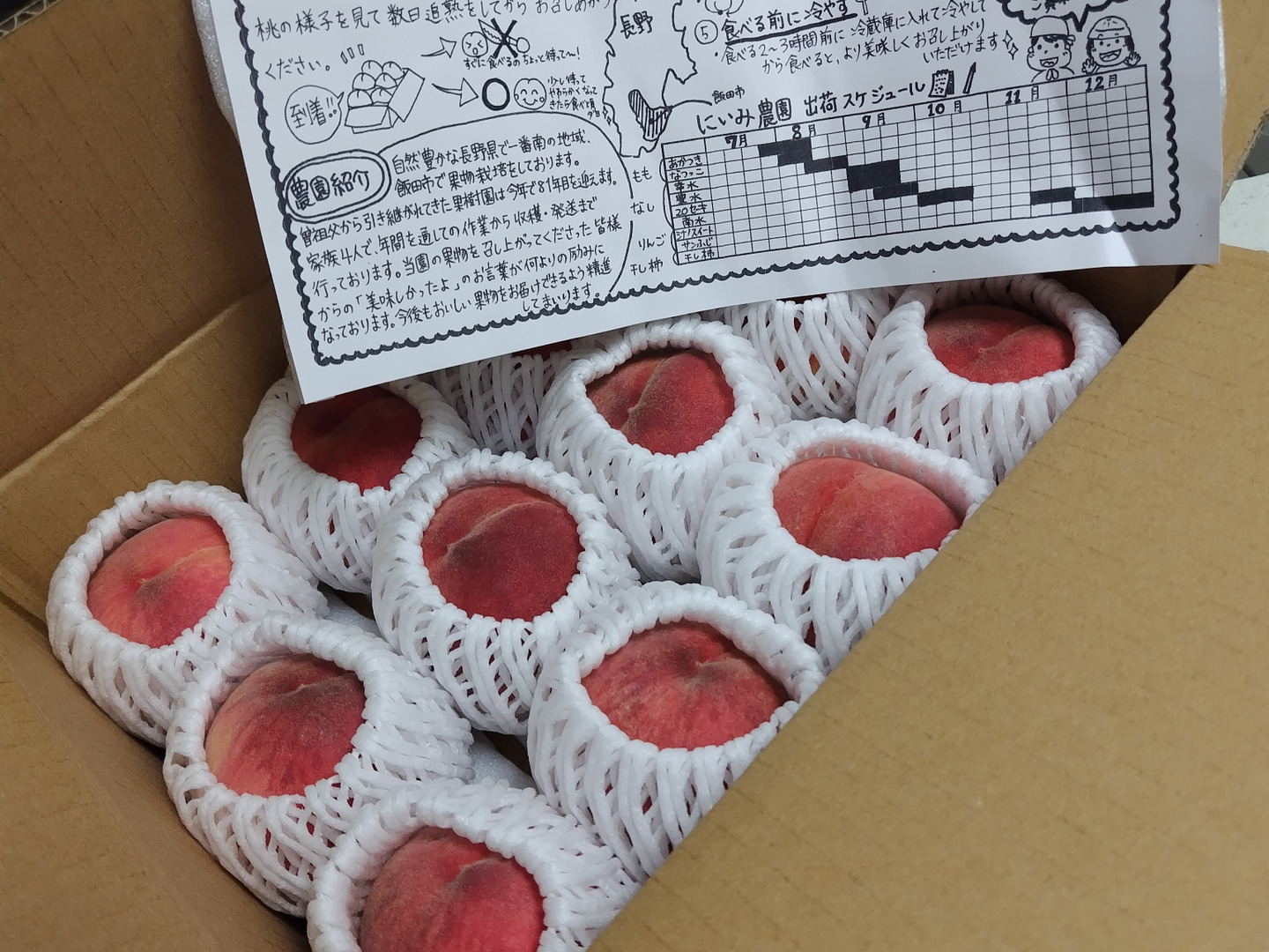 食品 1点のみ大特価!!あかつき小玉 硬め桃48玉