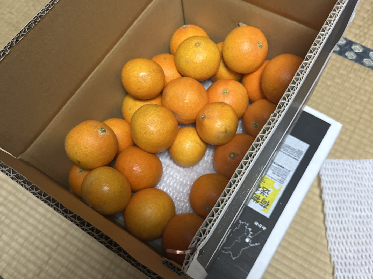 古着人気アイテム 予約セール】☆農園1番人気☆まどんな『家庭用5キロ×2箱』：愛媛 その他