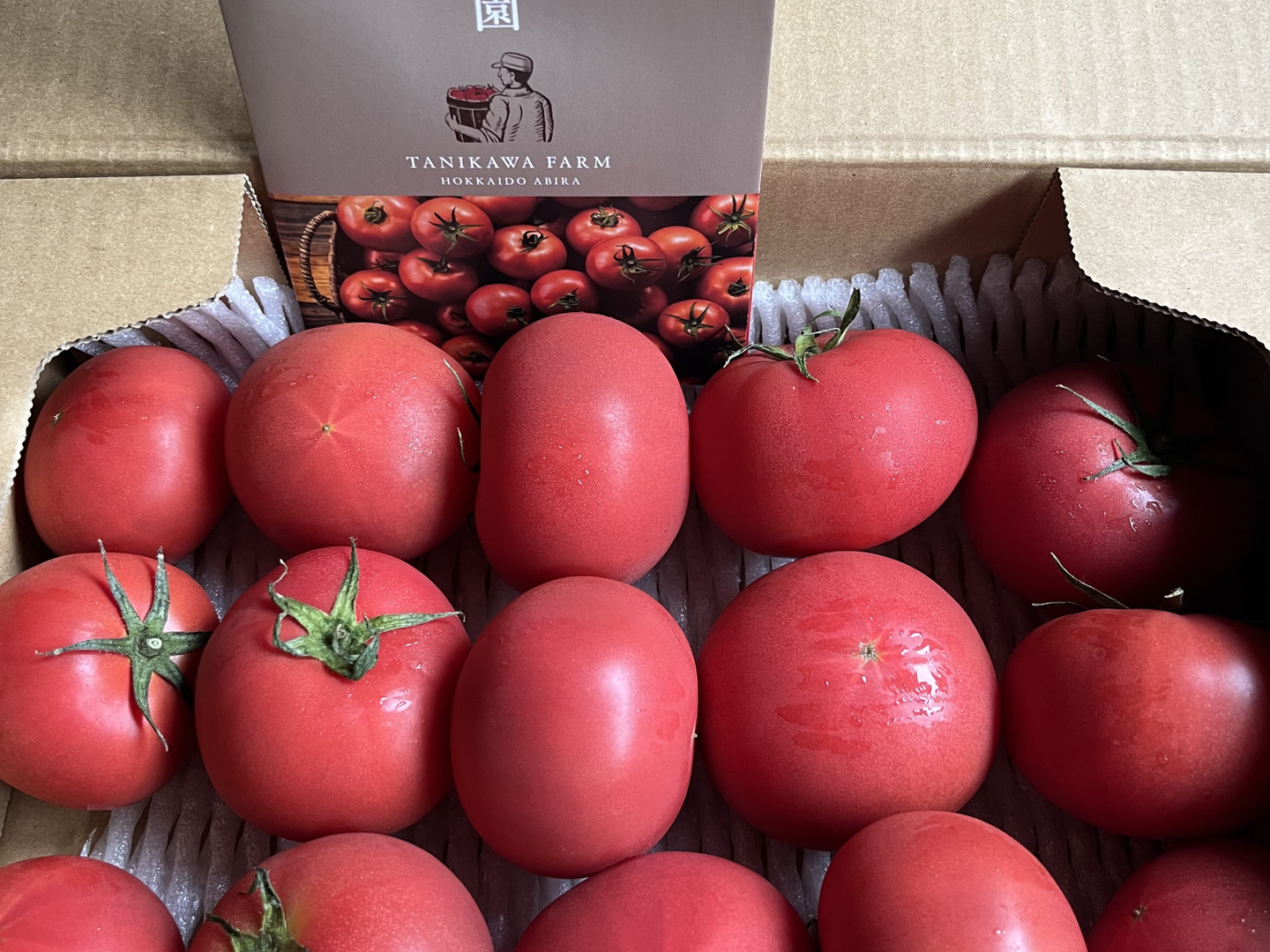 北海道産】🍅樹上熟3段採り🍅桃太郎トマト4kg（約2キロ箱× 2） 〈訳