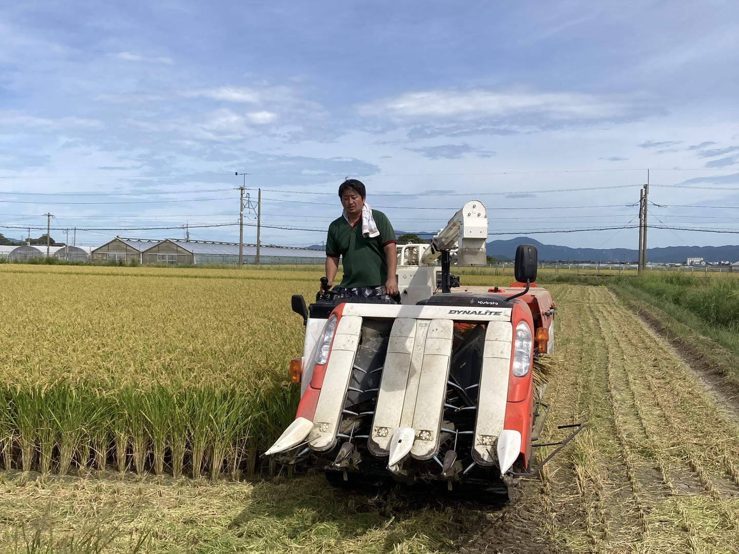 令和7年新米予約】 夢つくし玄米10Kg：福岡県産のお米｜食べ