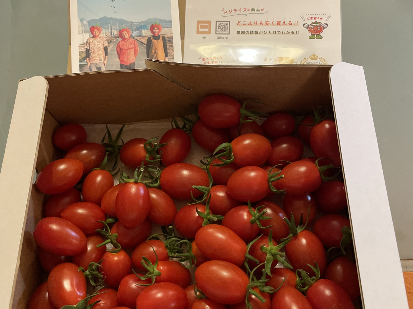 65%OFF【送料無料】 905ba3340125de6830631570fdd2a2 野菜