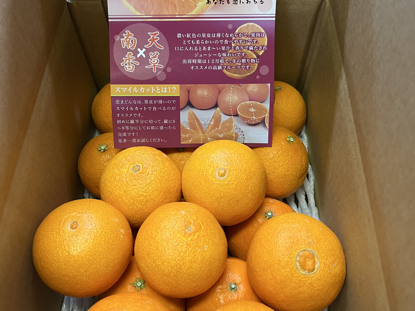 甘夏 小玉ちゃん 箱込 7.5kg ( 内容量約 6.8kg ) 秀品 優品 混合