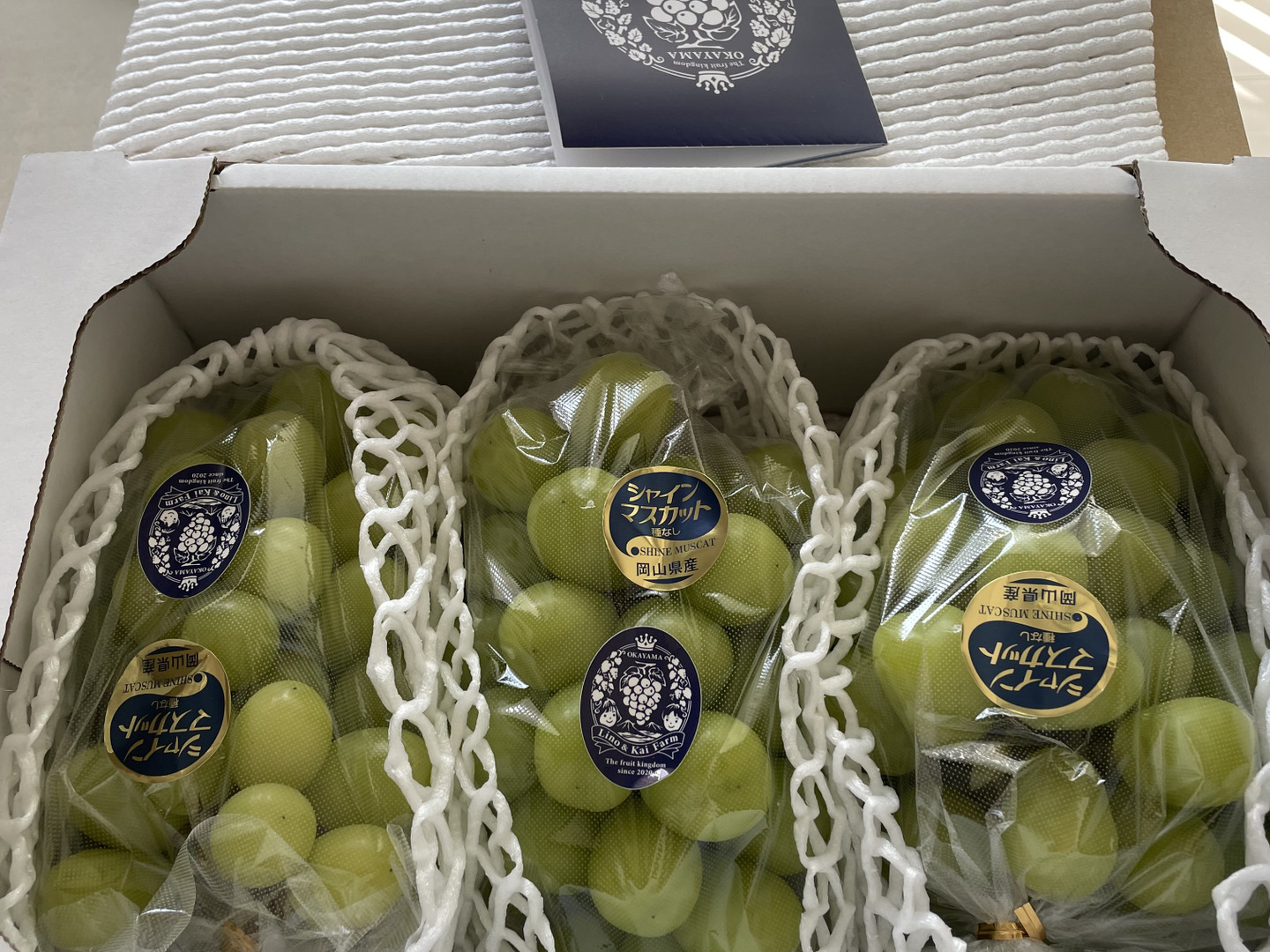 食べチョクアワード 4年連続受賞！】※訳あり フルーツ王国・岡山