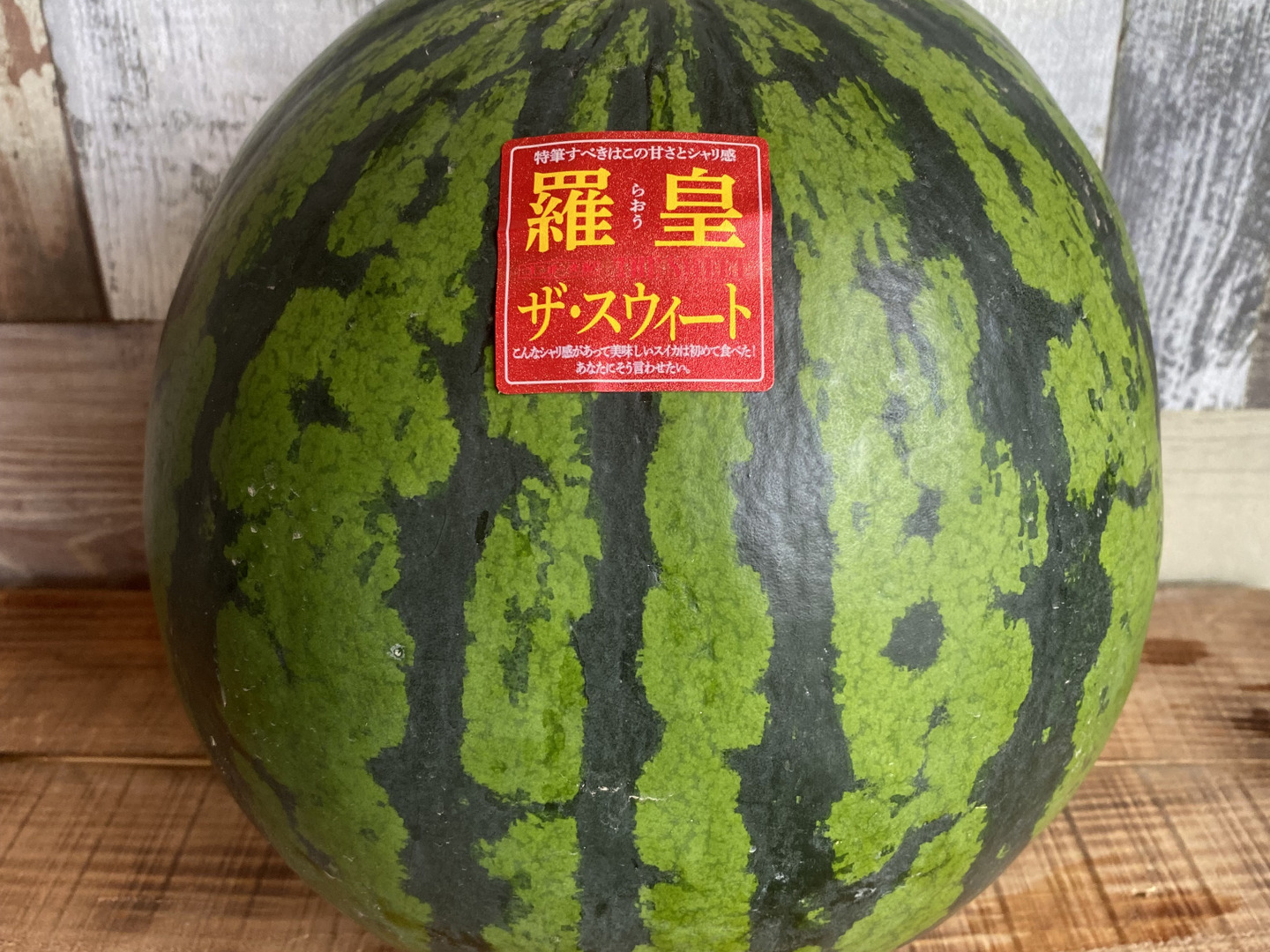 紅宝玉ＨＥ | Vilmorin Mikado Japan