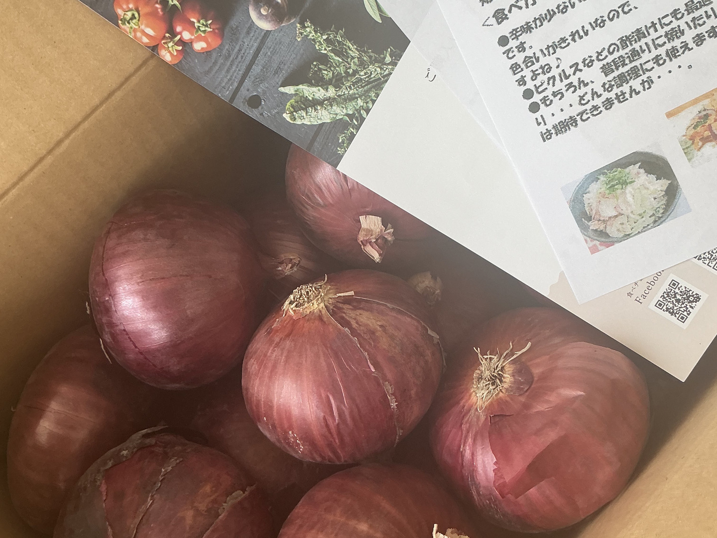 信州産紅玉ねぎお箱込み五キロ 訳ありレッドオニオン❣️5kg〜玉ねぎ大国淡路島からの玉ねぎ