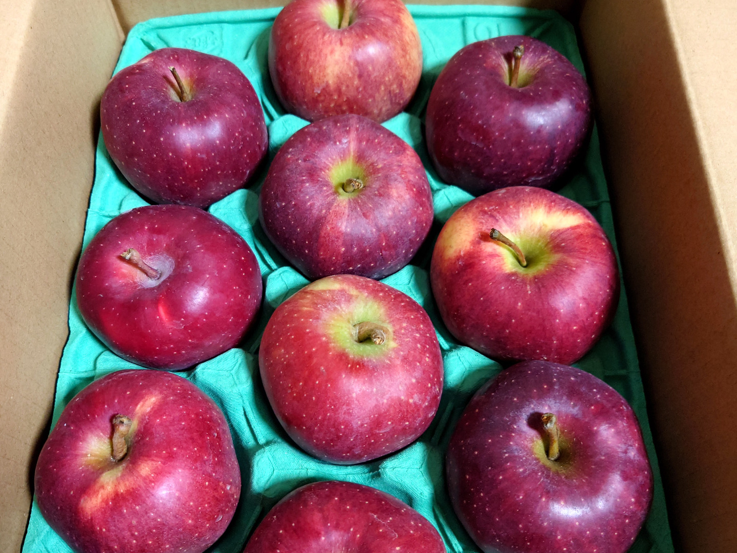 King &amp; Prince - りんご ニュージーランド産りんご🍎NZプリンスを食べてみたら、昔